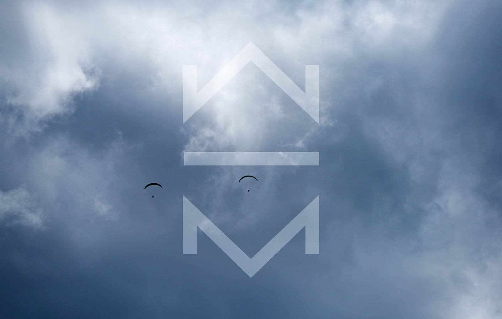 MoMo Website Wasserzeichen 4 1599x1016px