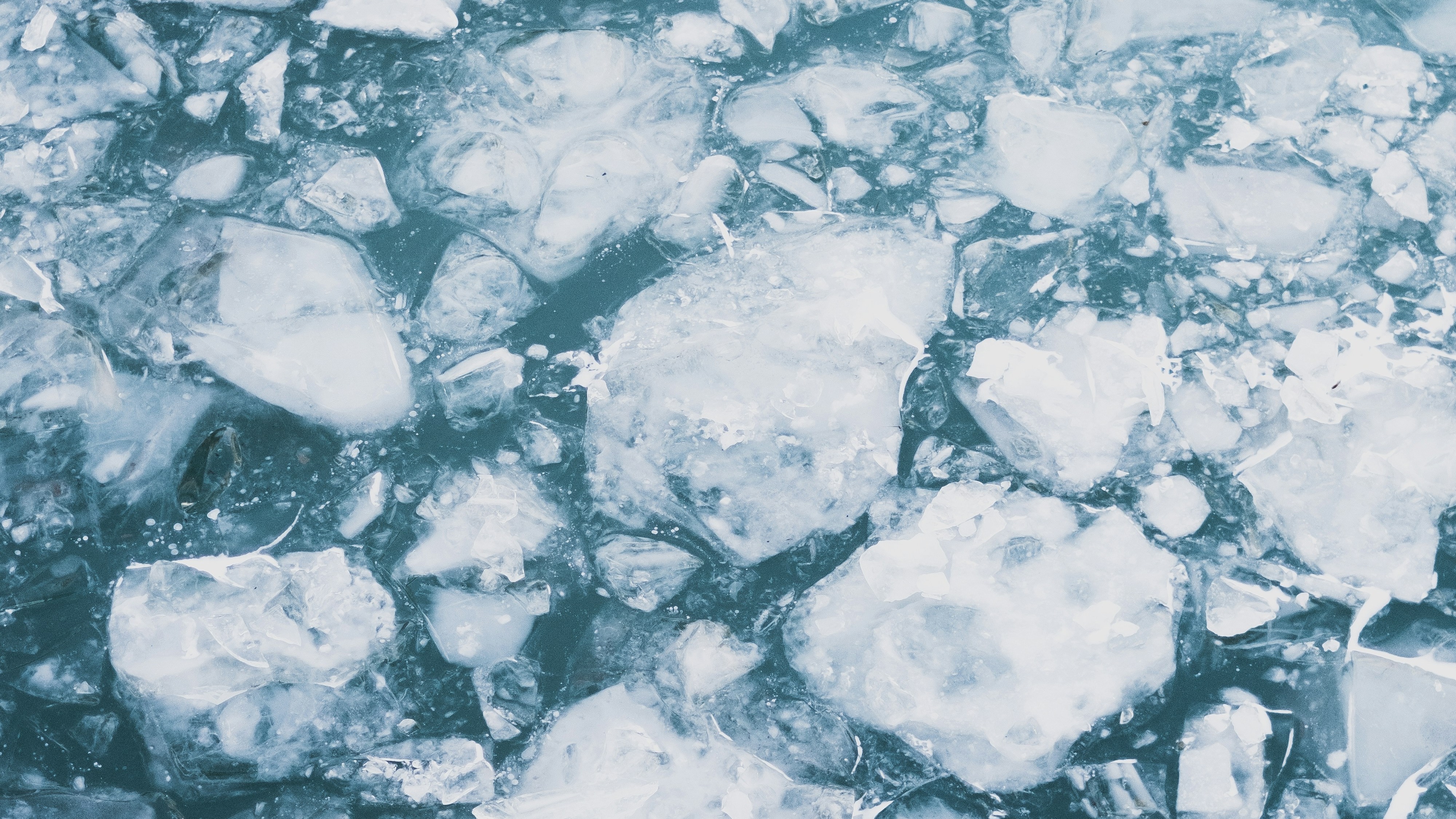 bryan-rodriguez-BckdUV5HFlc-unsplash