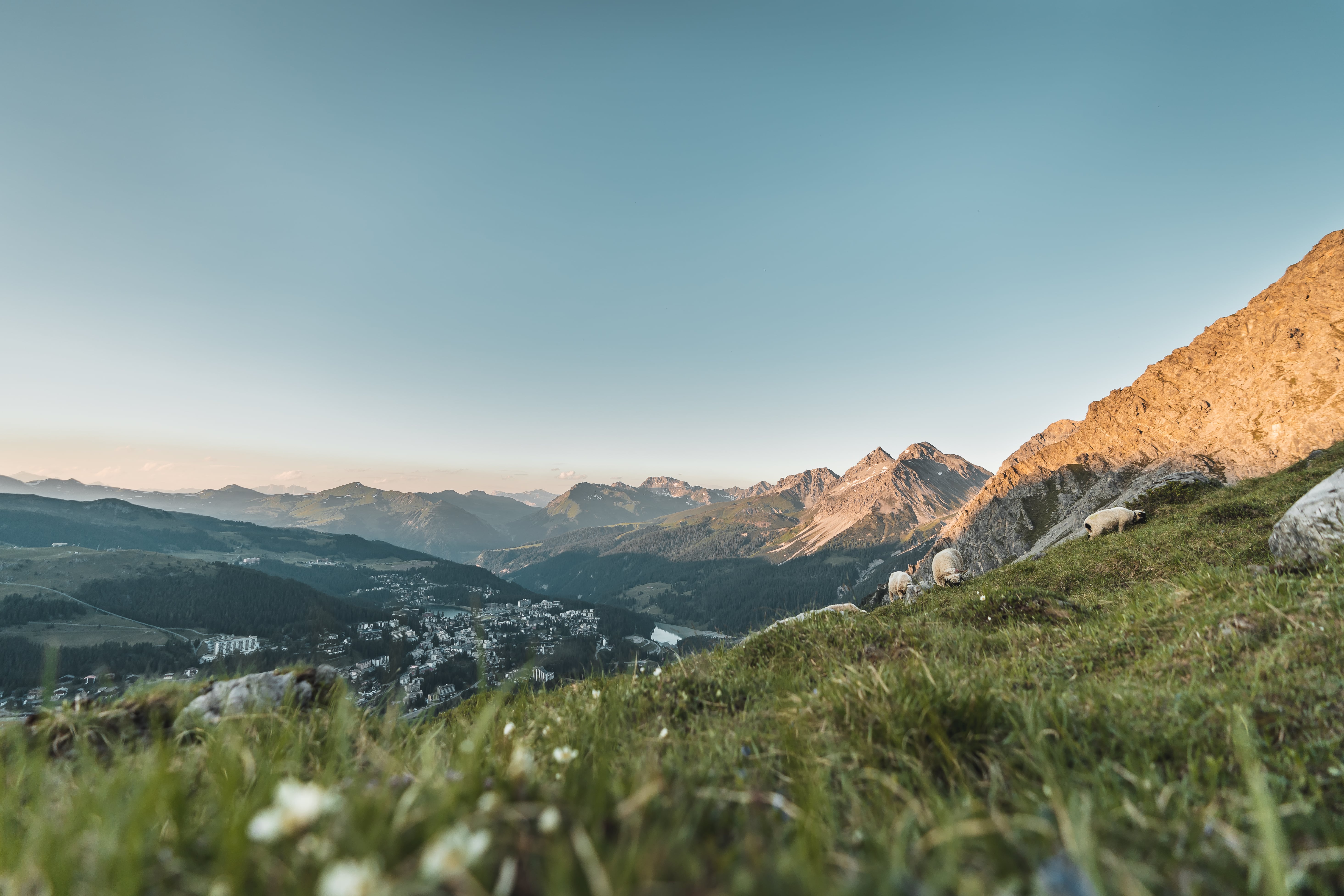 Sommerbilder (1 of 1)-min