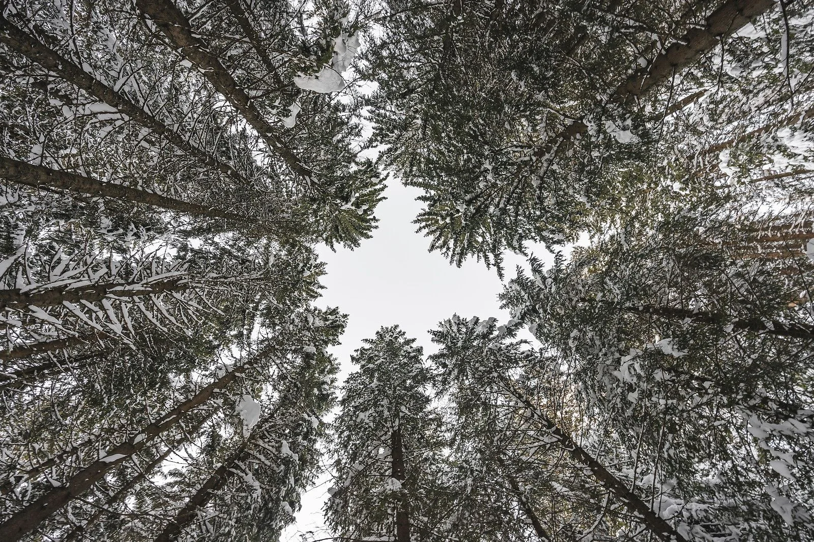 Moving Mountains | hero | summer 