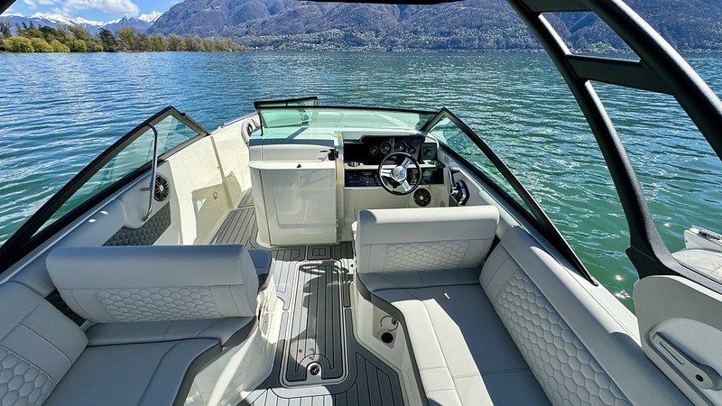 53627682815 12b19fab93 c