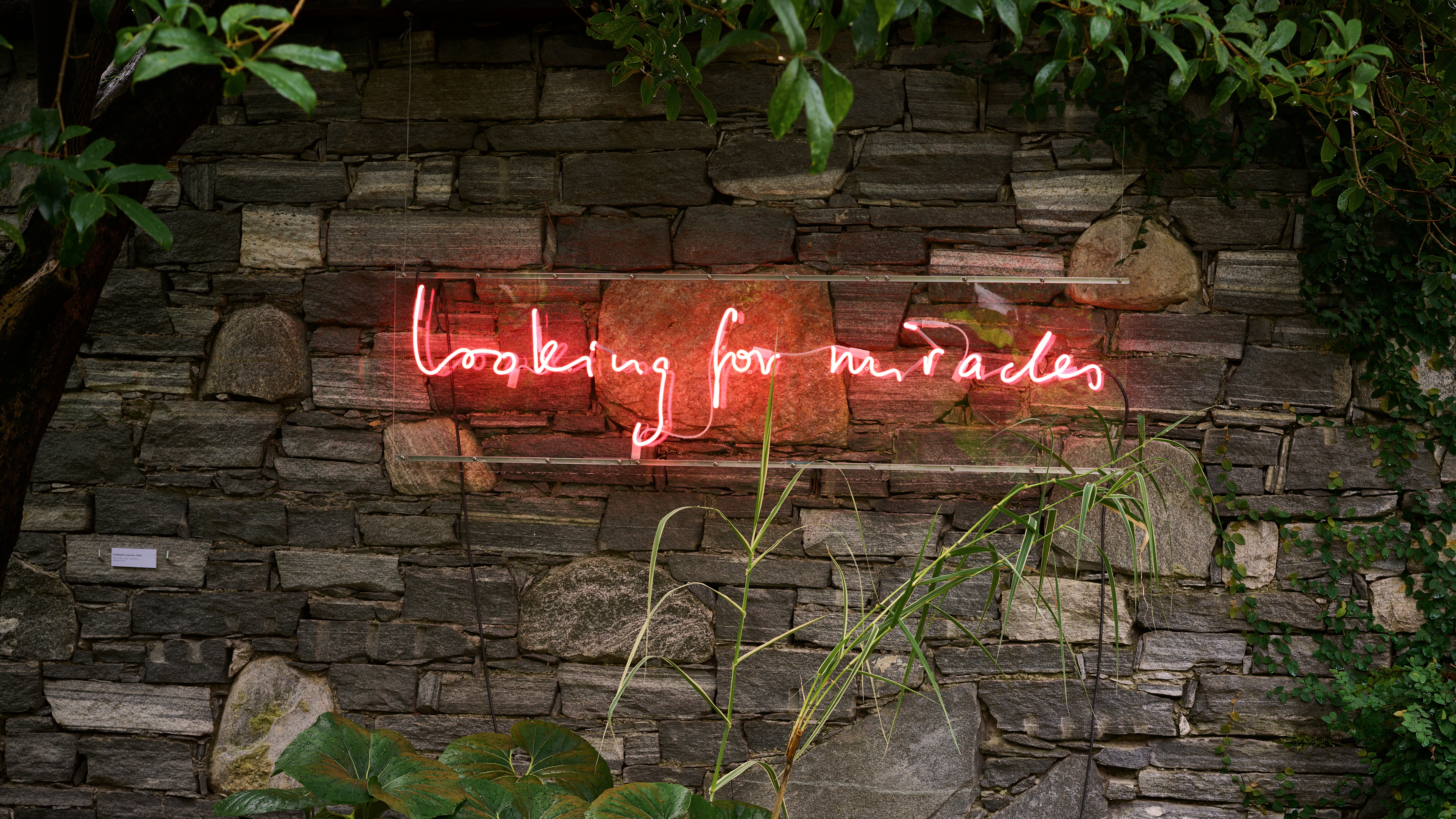 FINISSAGE IMAGE S-DANIEL