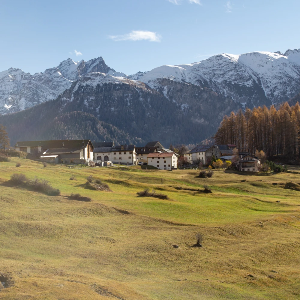 The Tschuggen Collection | Bos-Cha Rewilding Engadin