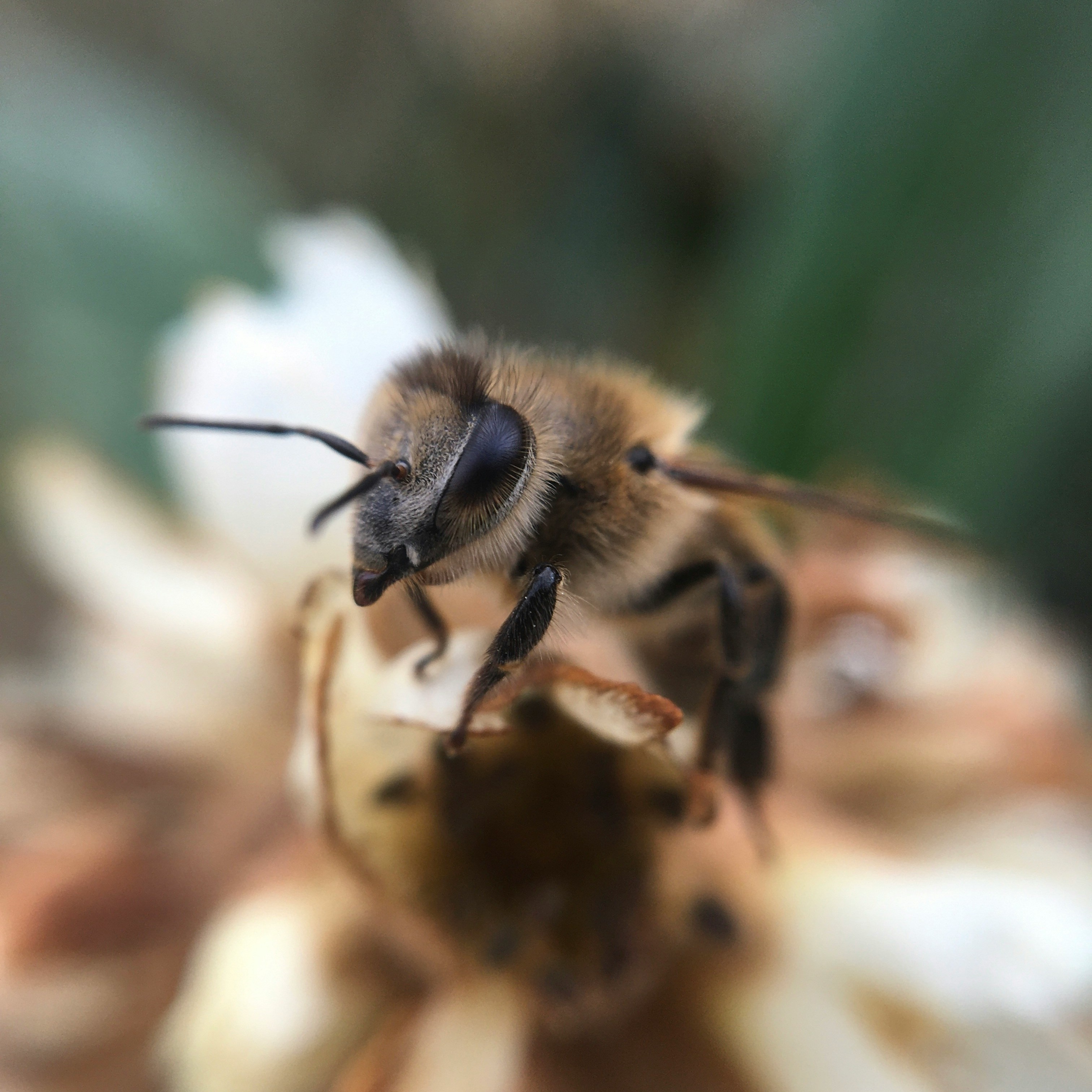 atefe-fazeli-pYn-DUrA95c-unsplash