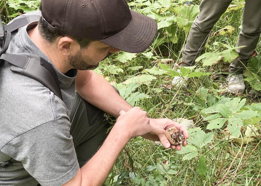 Claudio Laager Pilze sammeln Arosa