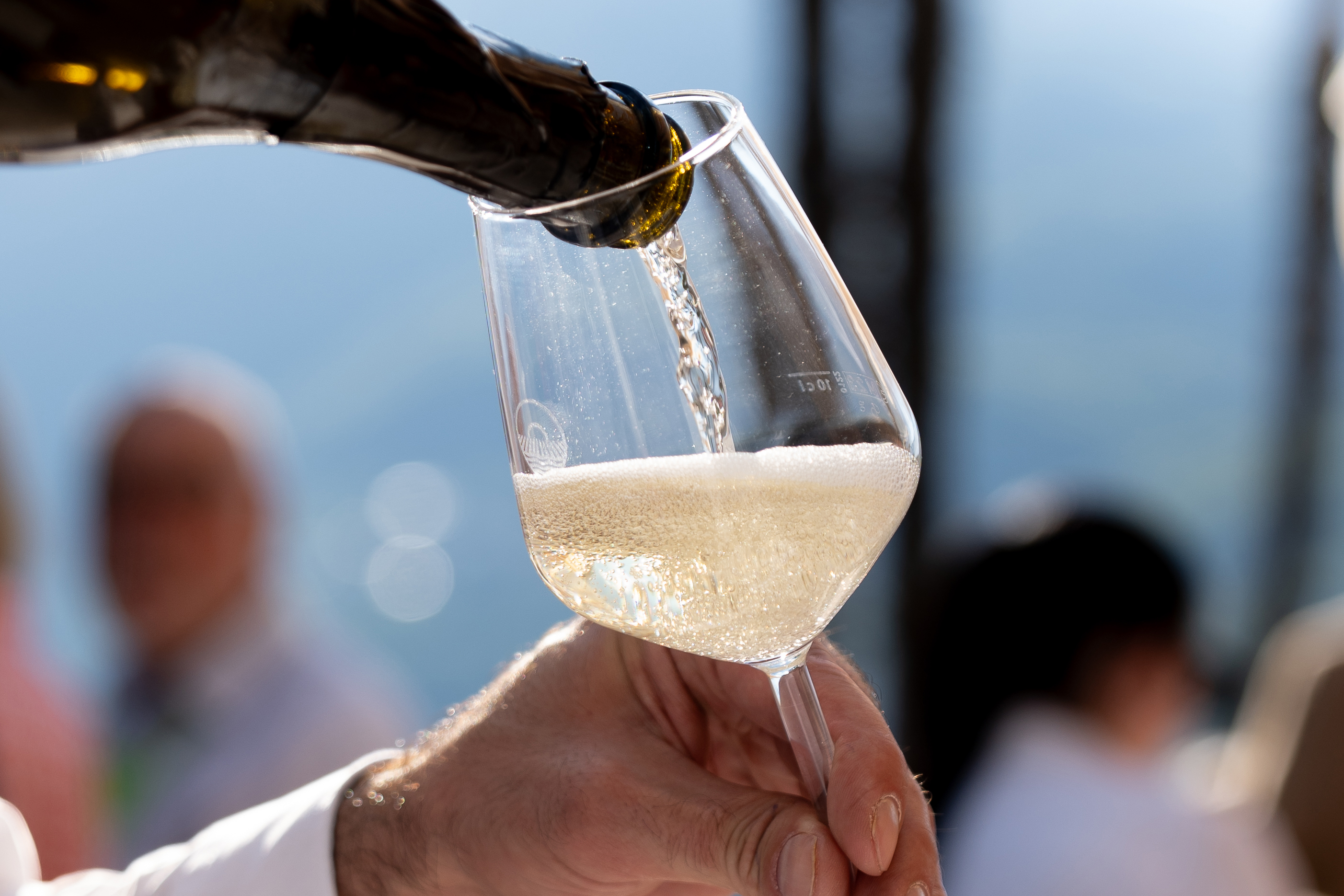 A person holding a wine glas and pouring white wine