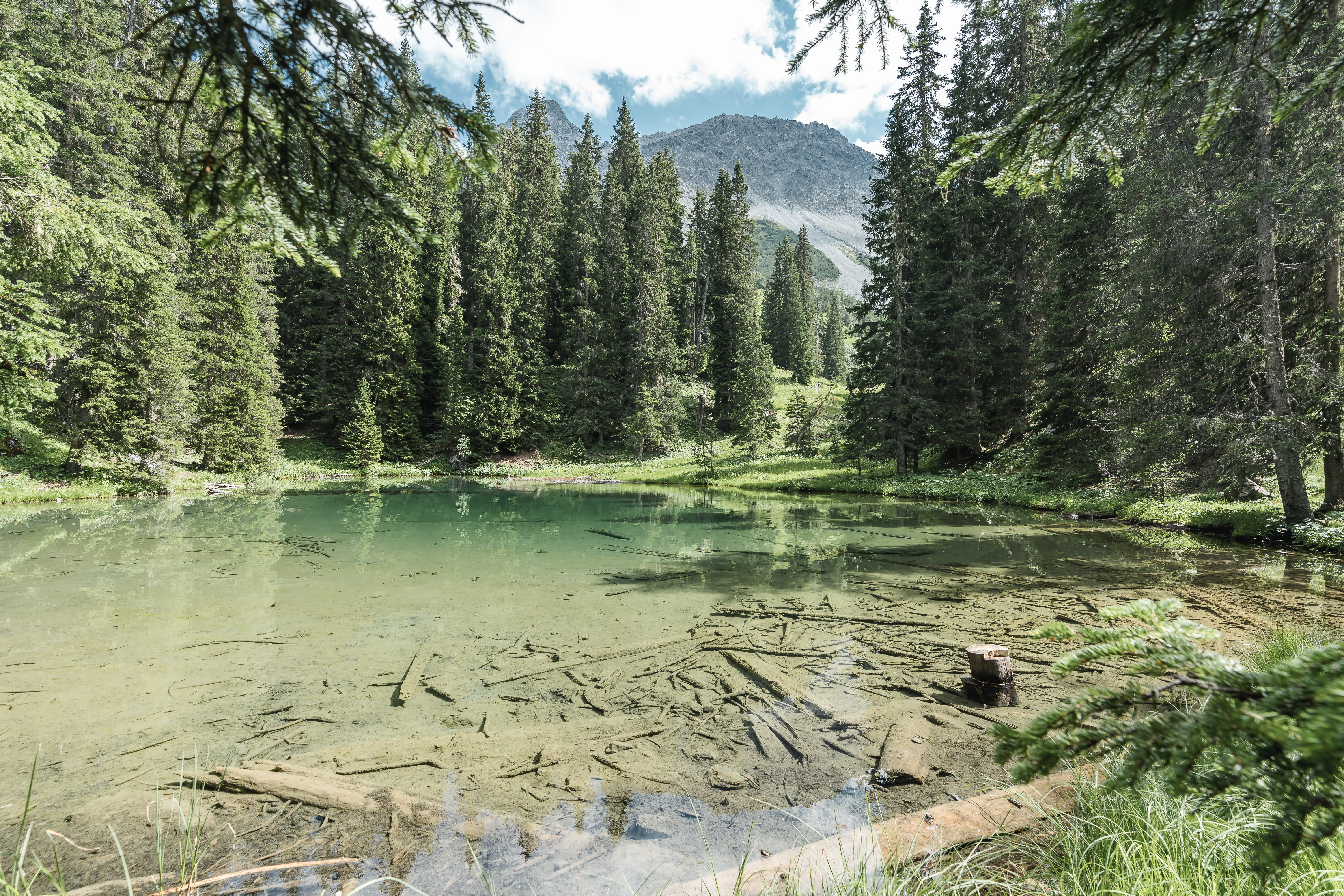 Tranquil mountain pond surrounded by evergreen trees with rocky mountain peak visible under blue sky with white clouds.