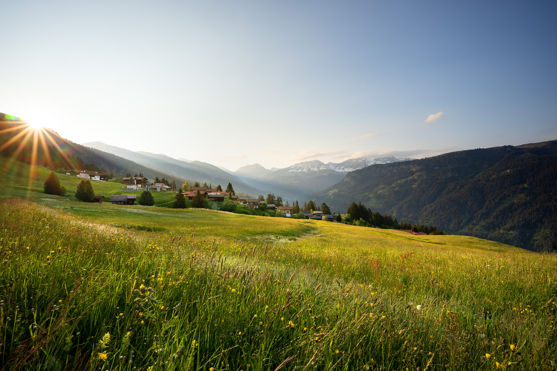 Sunrise over green alpine meadow with wildflowers, mountain village, and snow-capped peaks in the distance.