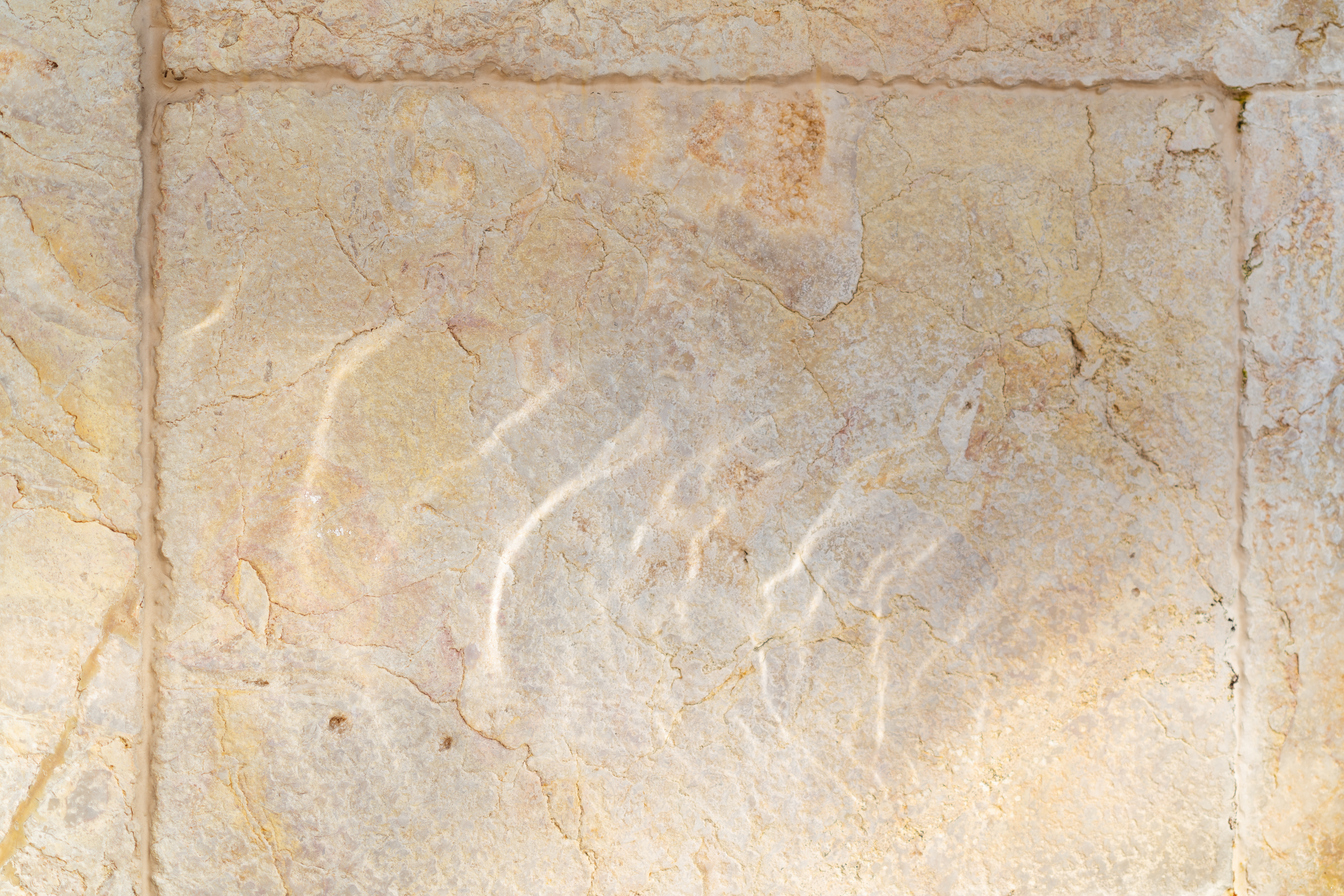 Frühling im Tessin: 5 Gründe für einen Trip nach Ascona