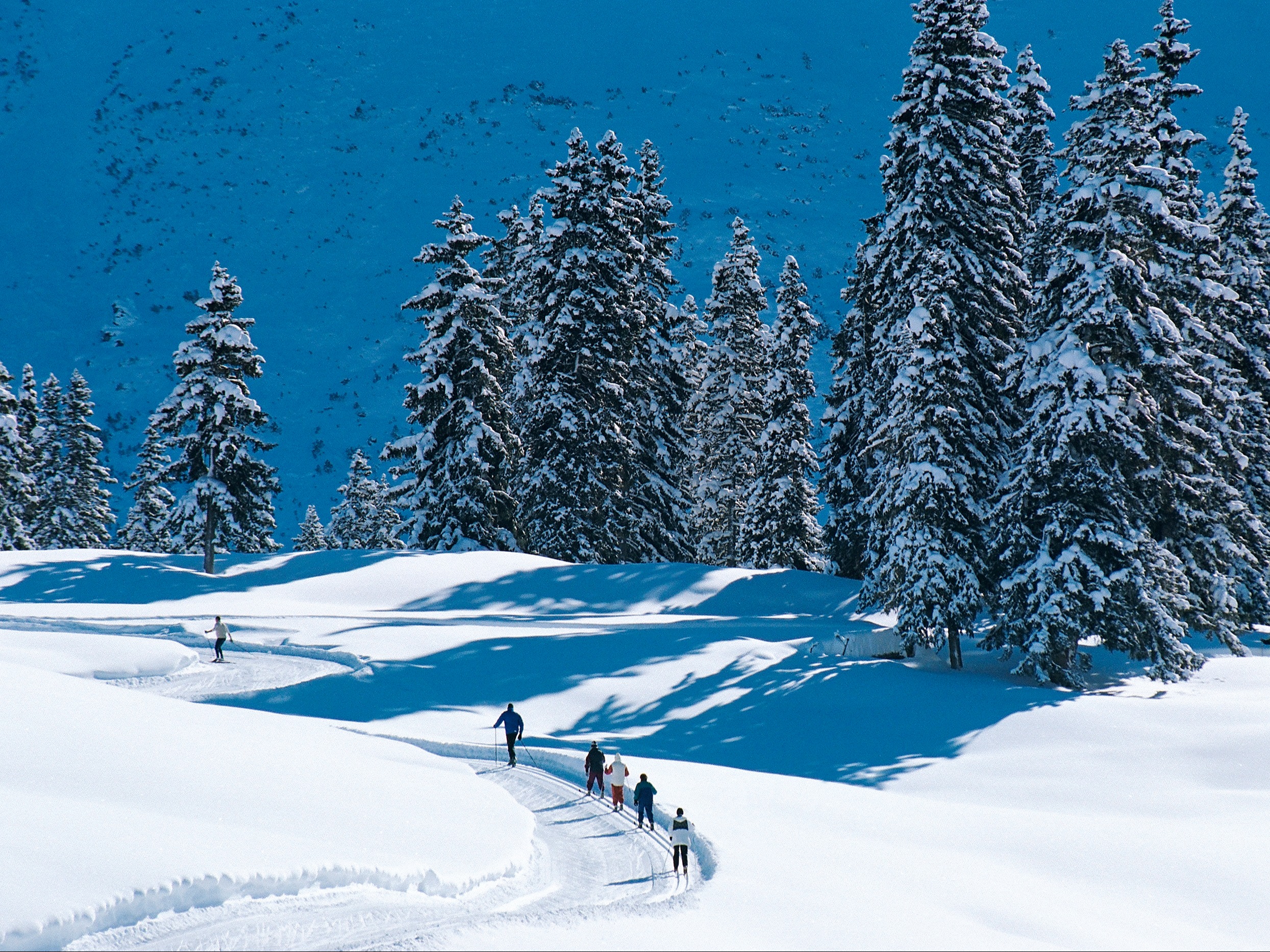 Cross-country skiers on a snow-covered trail surrounded by Arosa’s winter mountain landscape.