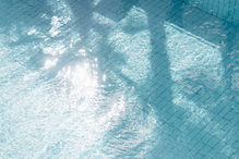 Brochure - Hotel Eden Roc