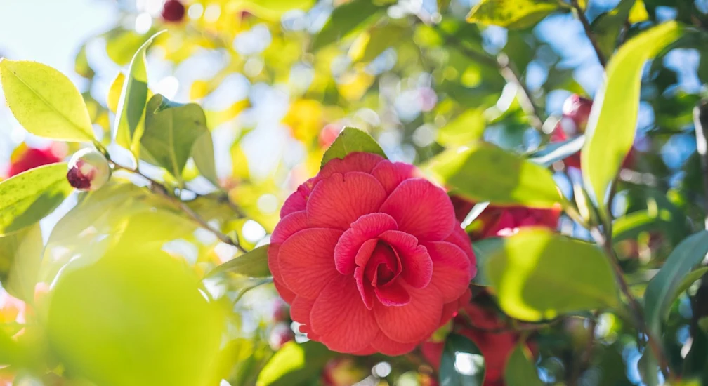 10a86b05e0e8794583f24907646d8dc961bbe72012e5b1ea88d2b378d0606586