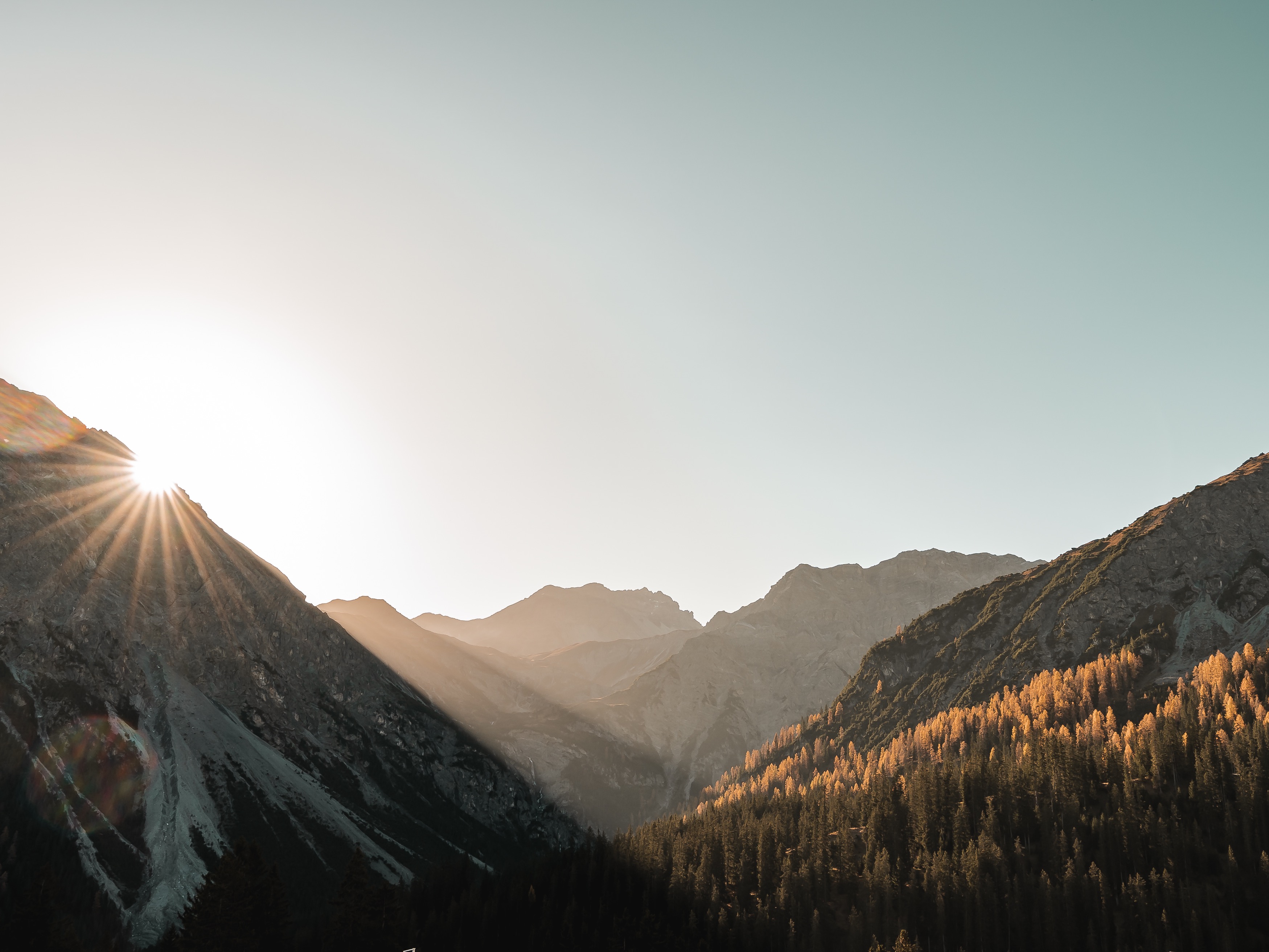 Sun rising behind mountain peaks with golden light illuminating evergreen forest in valley below under clear sky.