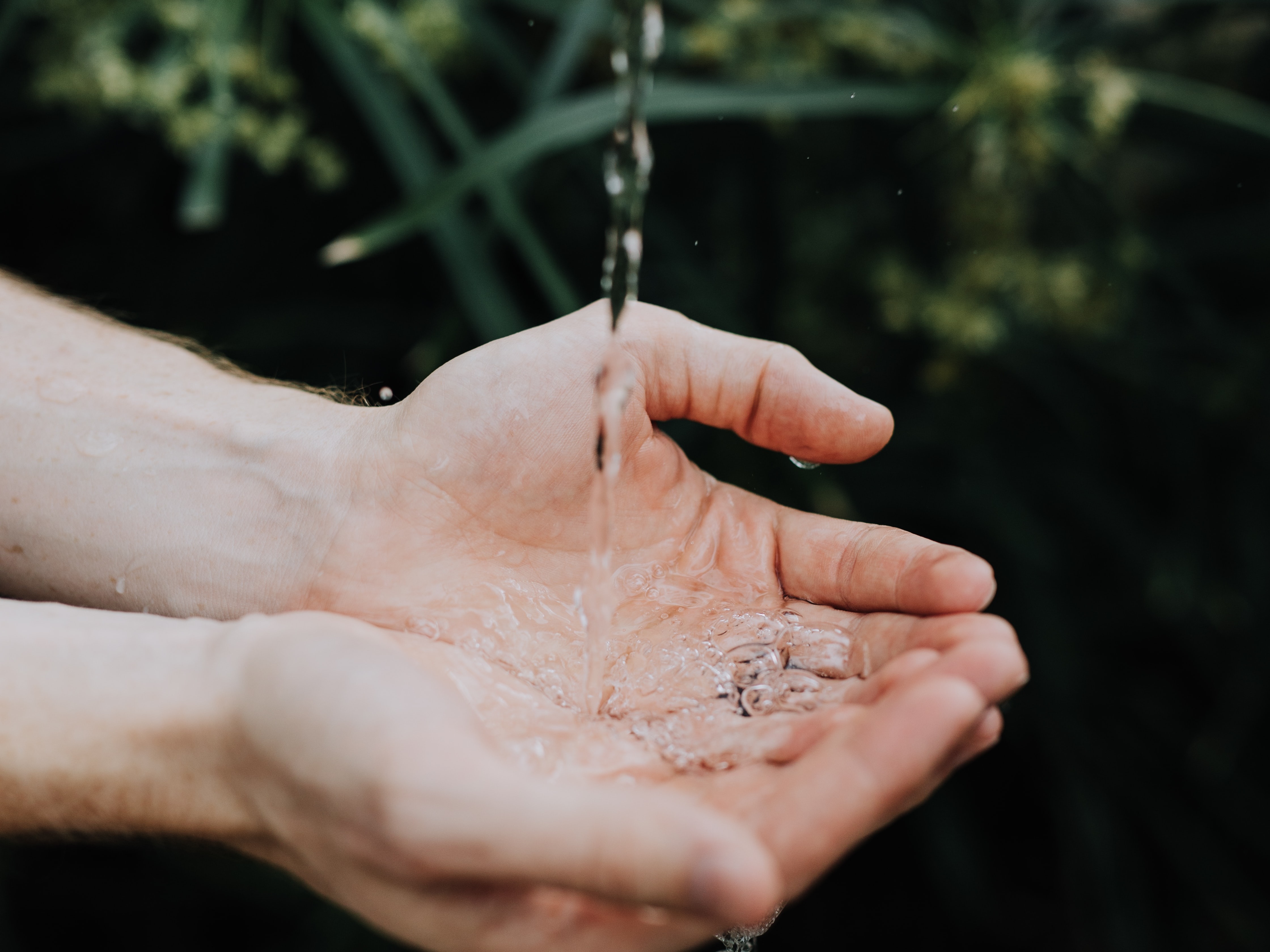 austin-kehmeier-k- 7Z5z5--Q-unsplash