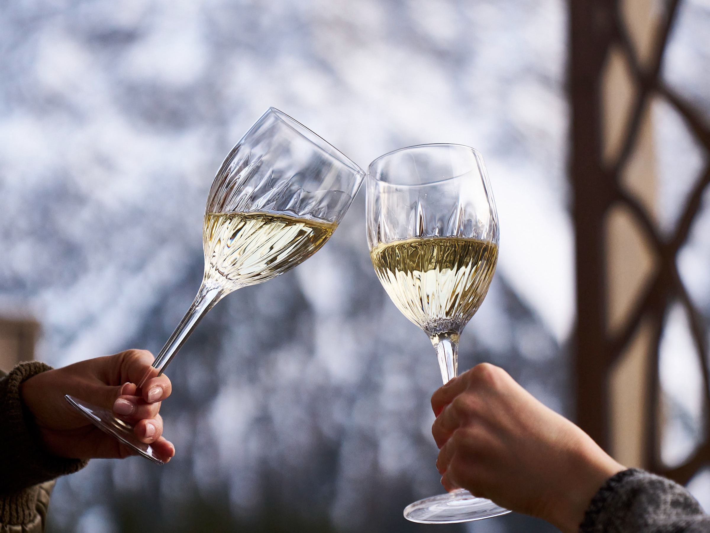 Two people clinking glasses of white wine against a backdrop of snow-covered mountains.
