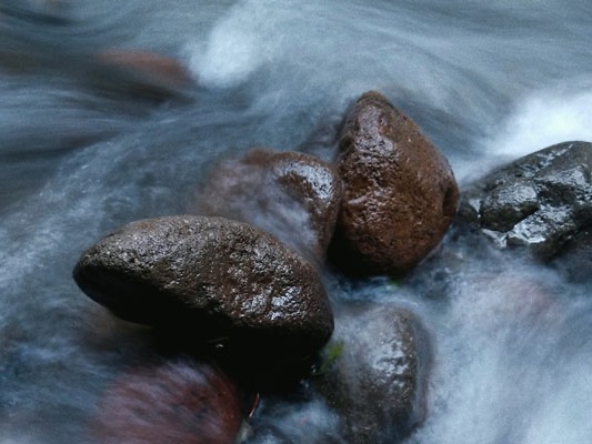 Klares Wasser strömt über glatte Steine in einem Gebirgsbach und erzeugt eine ruhige, natürliche Bewegung.