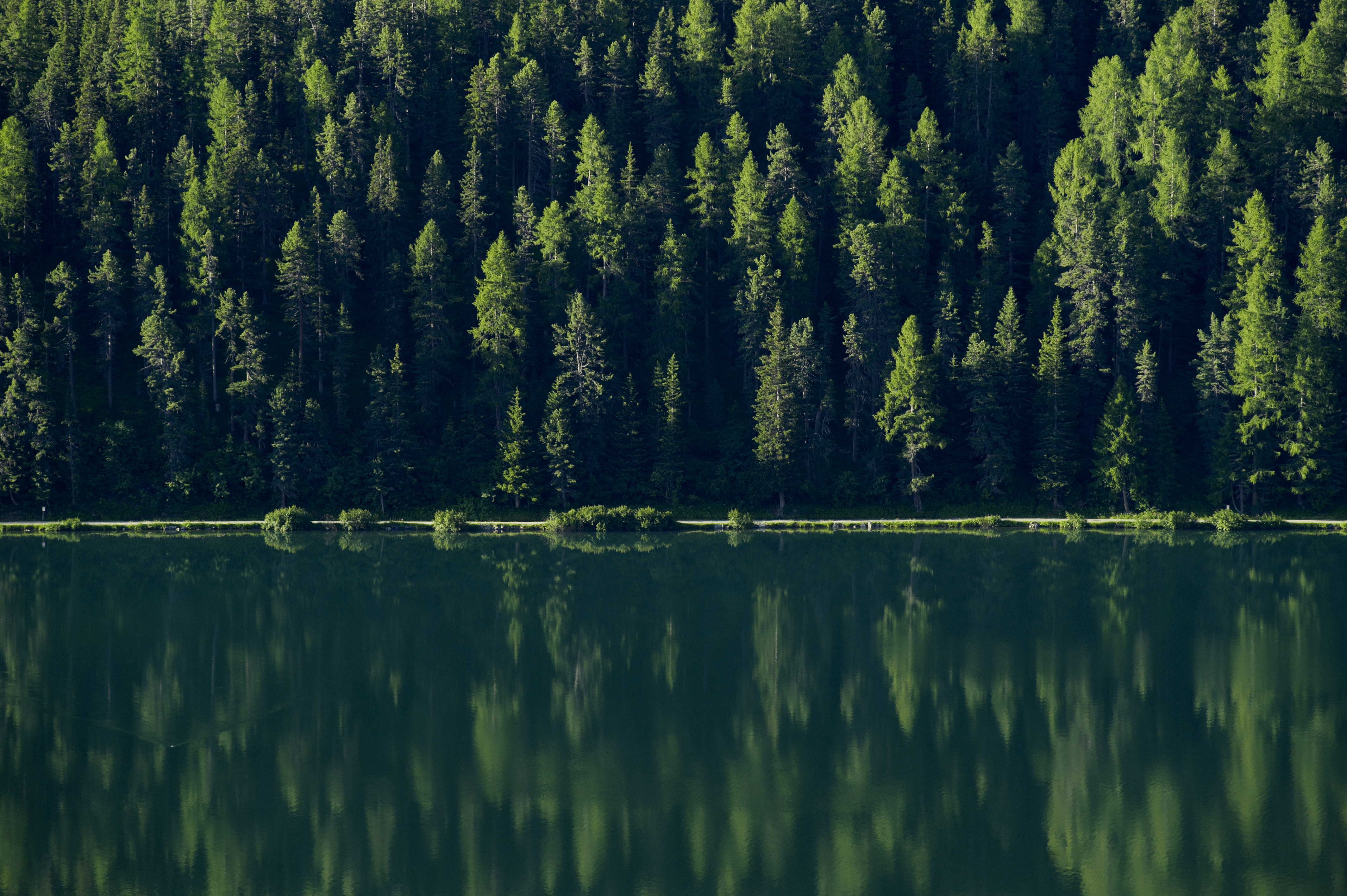 Summer in the mountains: 6 reasons to escape to Arosa