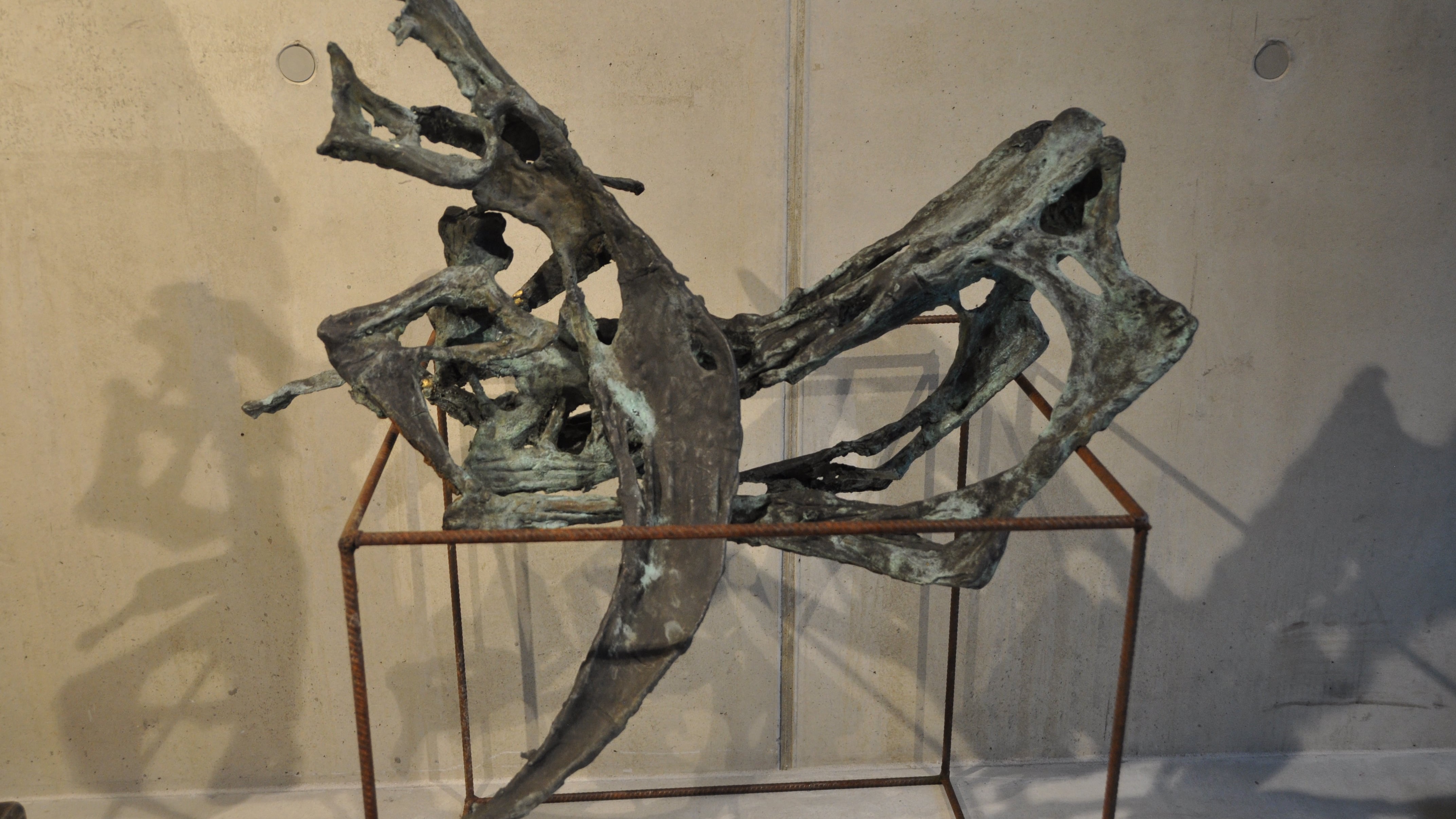 DSC 0063 Anklage-min