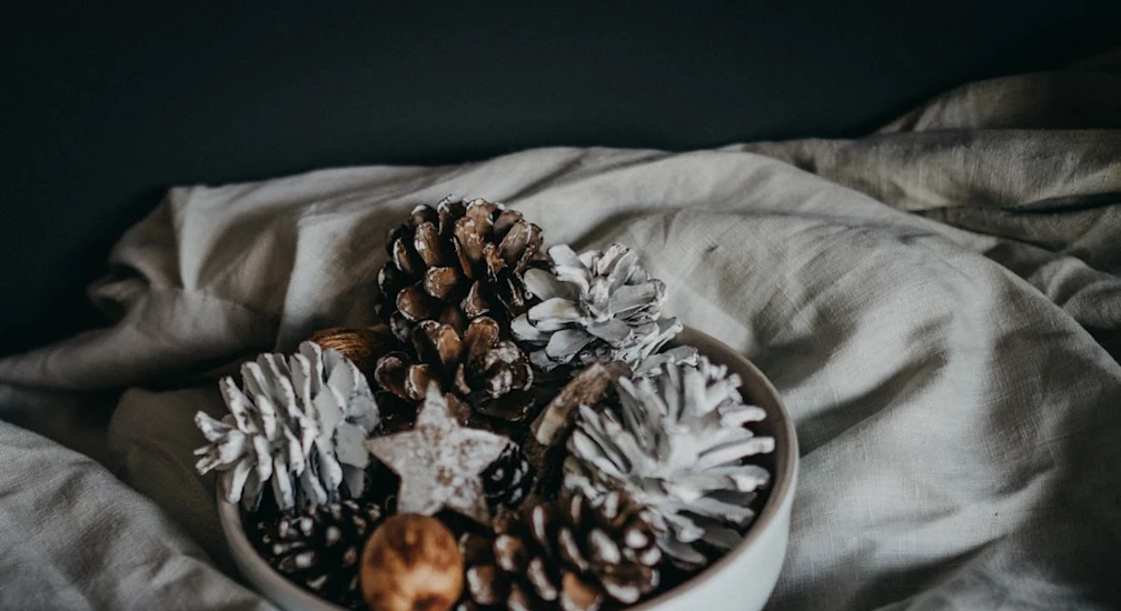 photo-1511772175098-b8de4bbca109