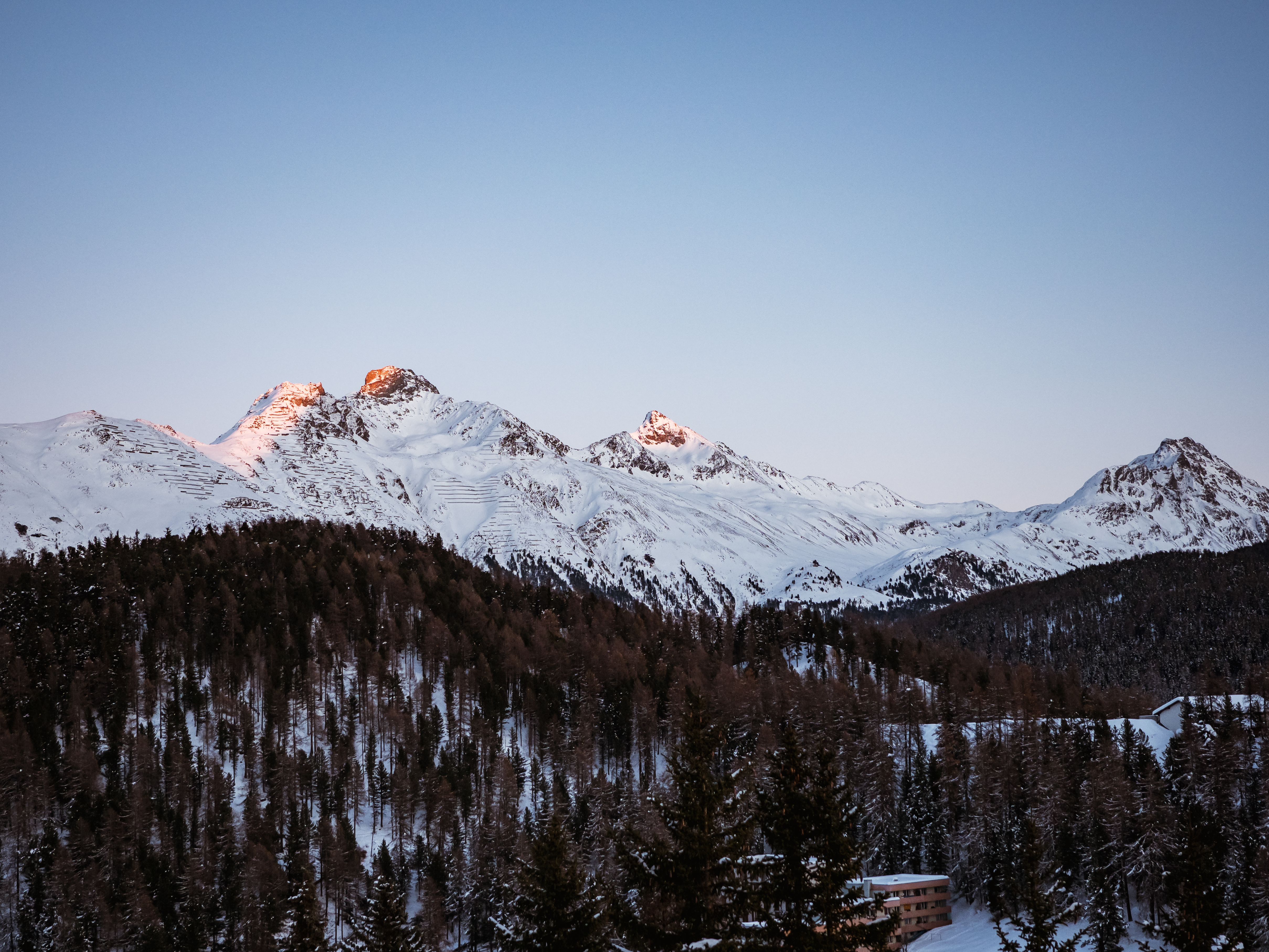 The Tschuggen Collection - sales