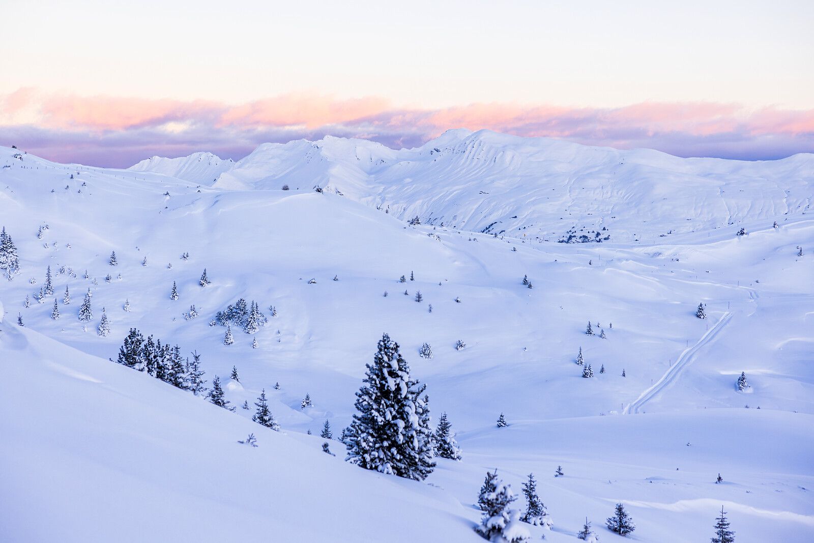 Verschneite Berglandschaft bei Dämmerung mit rosa-violettem Himmel und vereinzelten Tannen im Tiefschnee.