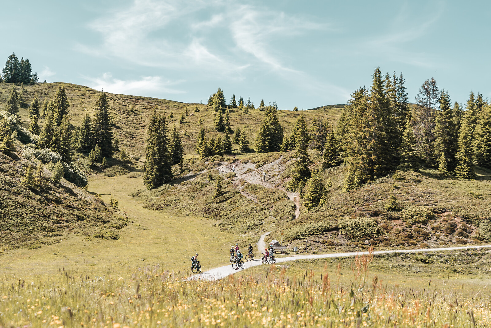 Menschen auf Mountain Bikes vor einer Berglandschaft