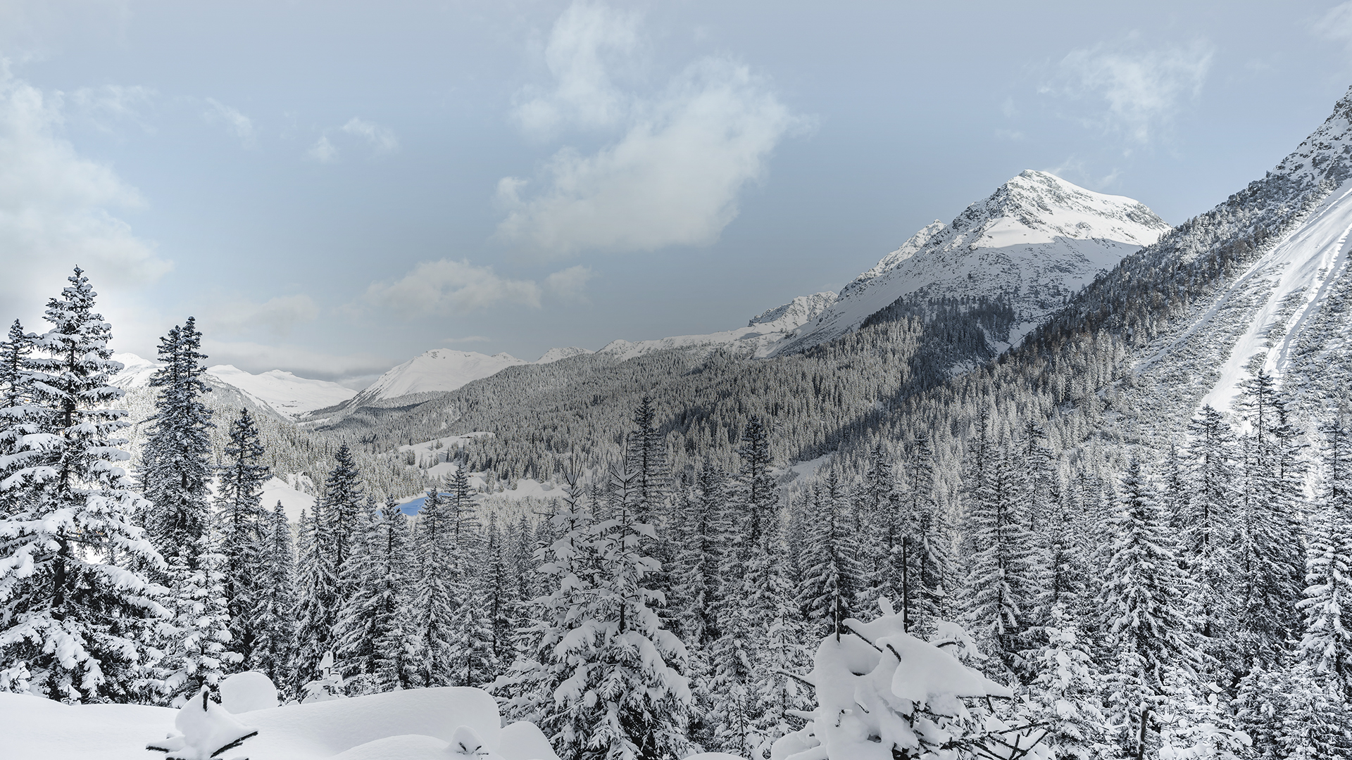 Snow-covered mountain peaks rise above a dense evergreen forest under a cloudy winter sky in an alpine landscape.