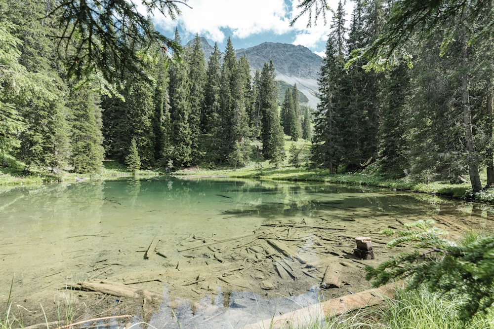 The hidden places of Arosa