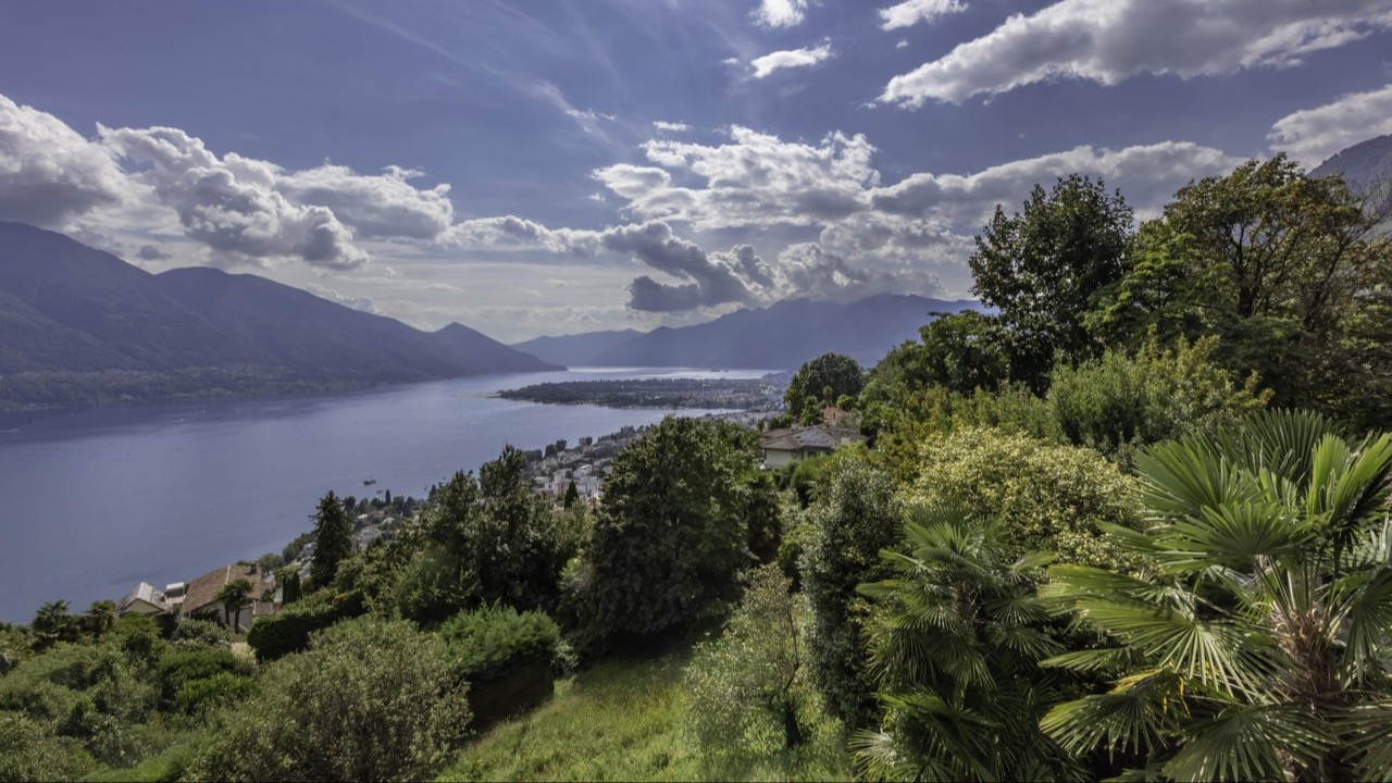 Weitblick über den Lago Maggiore mit Bergen, verstreuten Wolken am Himmel und üppiger Vegetation mit Palmen im Vordergrund.
