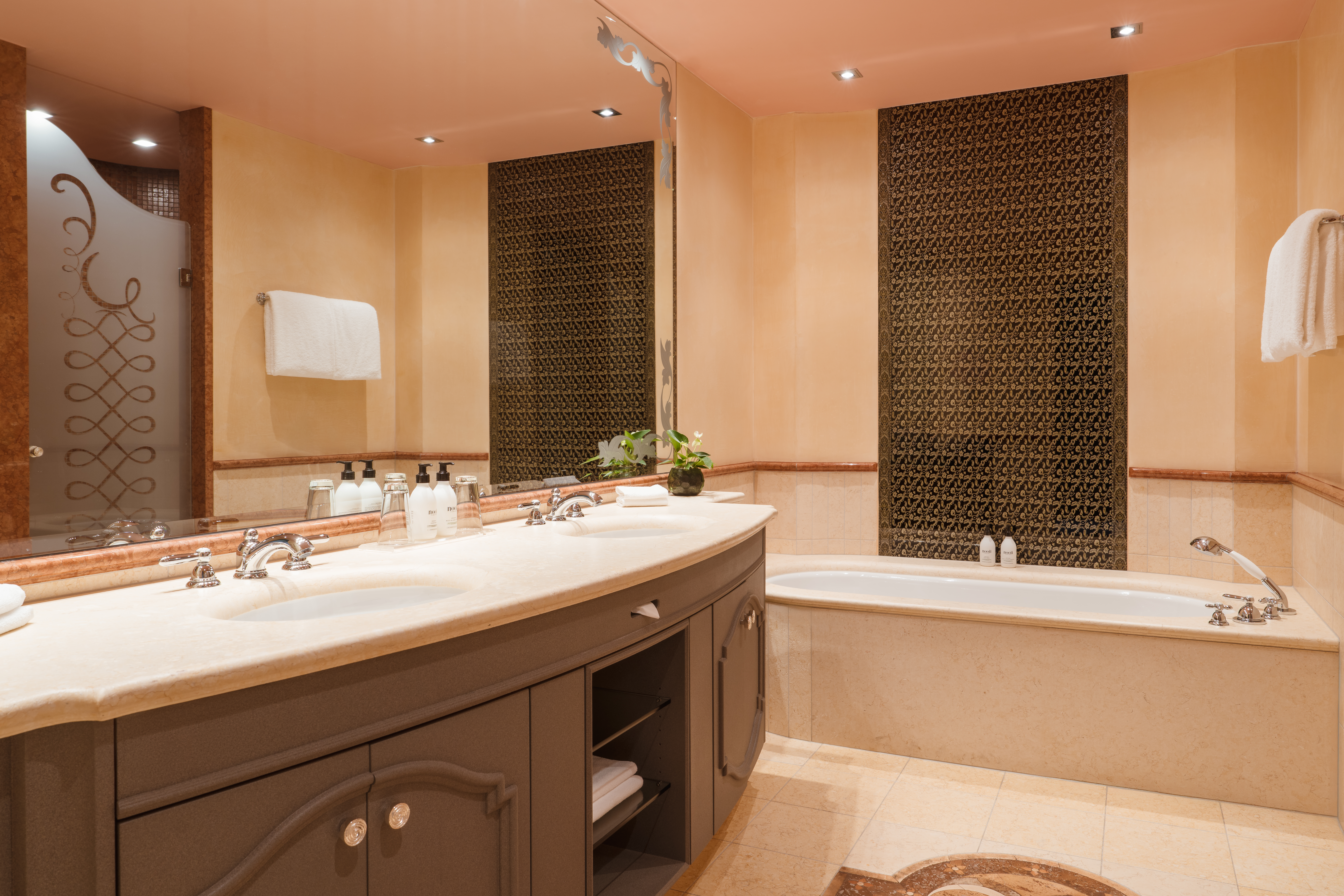 Deluxe Suite Bathroom 10