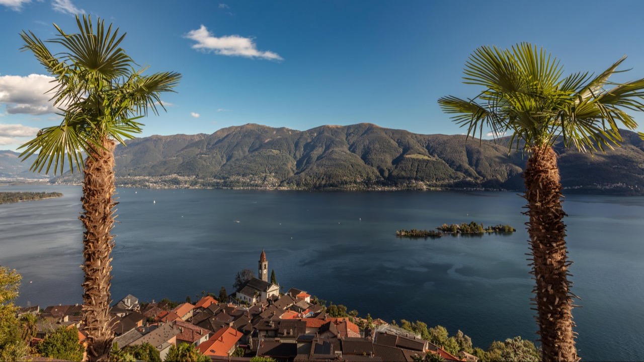 Blick über ein Dorf mit Kirche auf den Lago Maggiore, eingerahmt von zwei Palmen, mit Bergen und einer kleinen Insel im See.