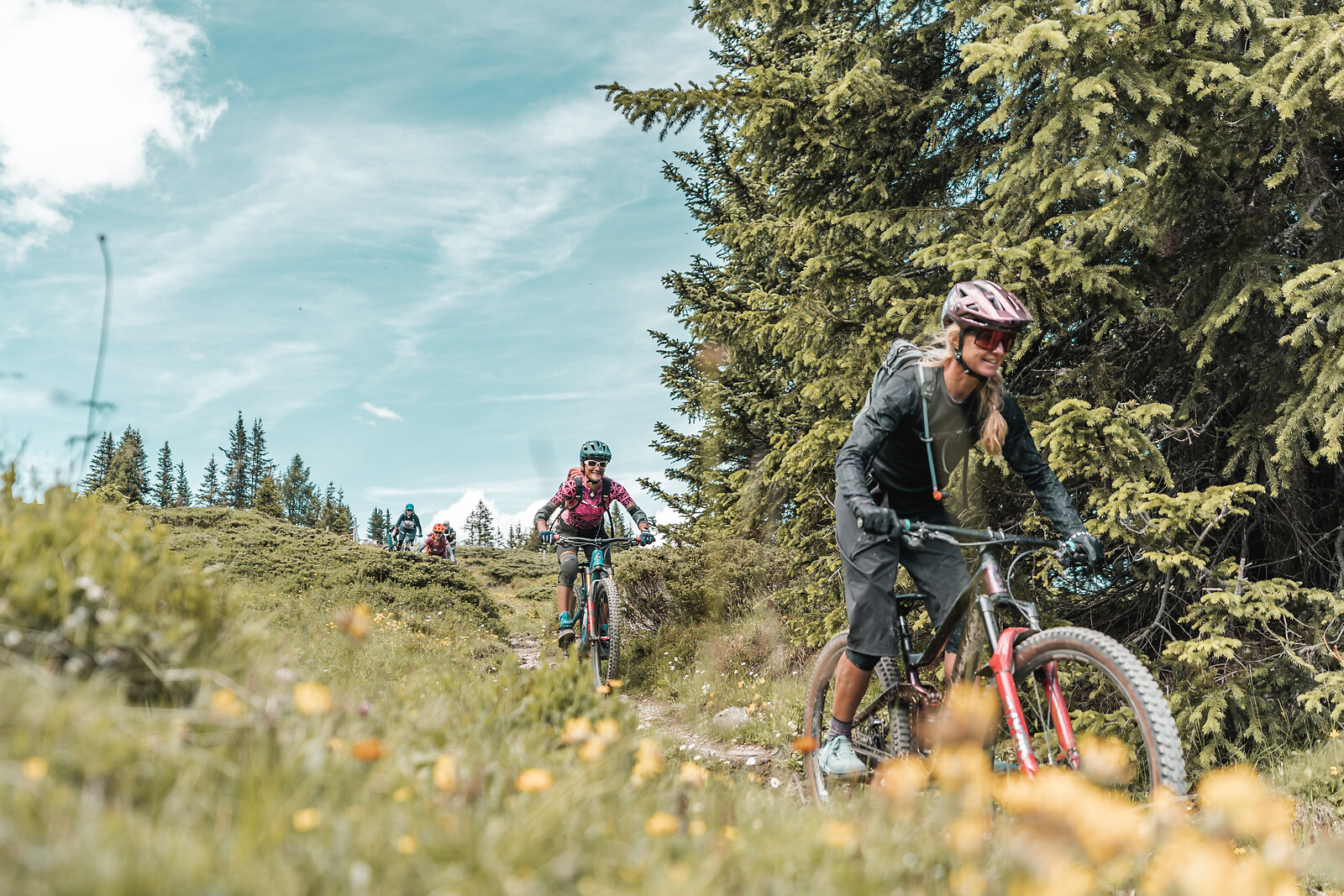 Group of mountain bikers riding on a trail through alpine meadow with evergreen trees and blue sky in background.