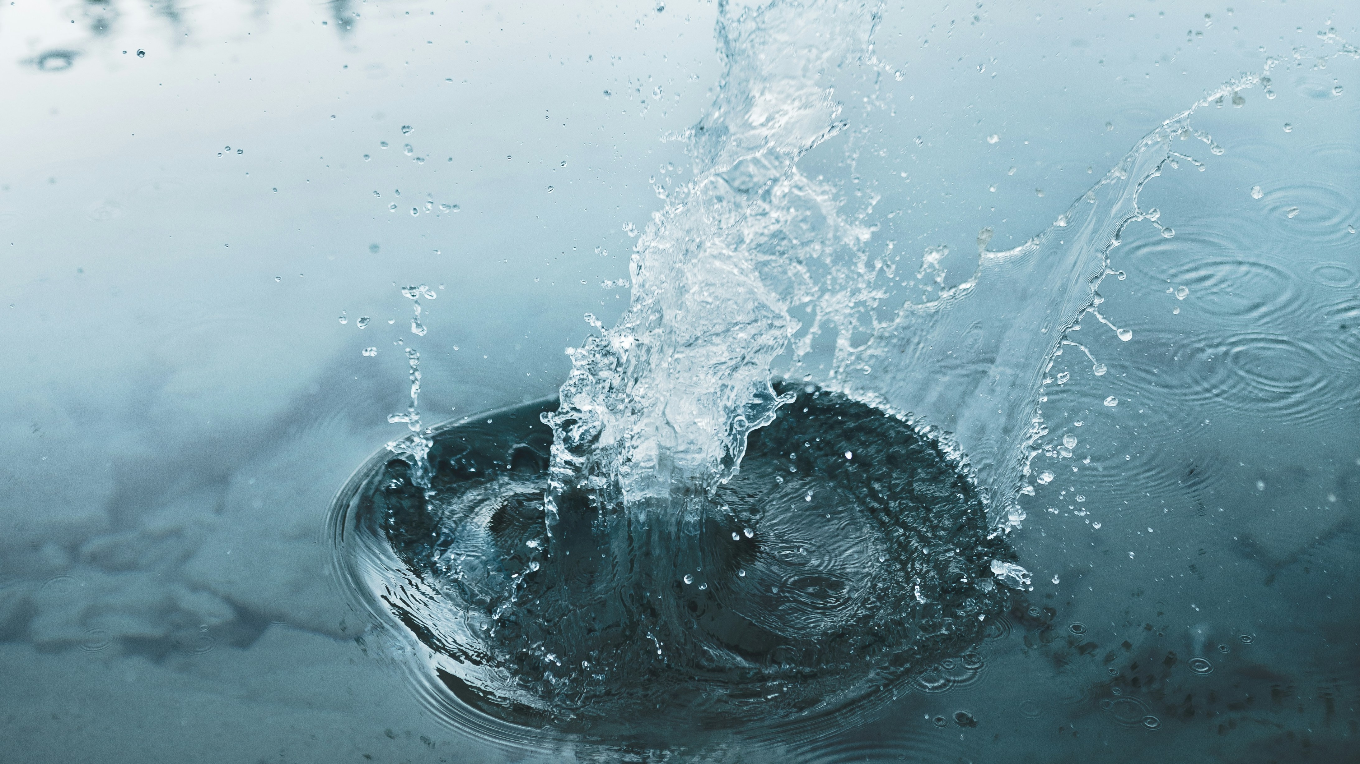 dana-katharina-eCcmKf2ijtY-unsplash