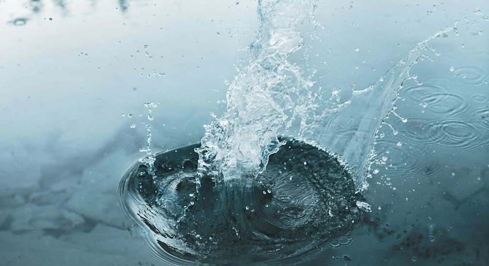 dana-katharina-eCcmKf2ijtY-unsplash