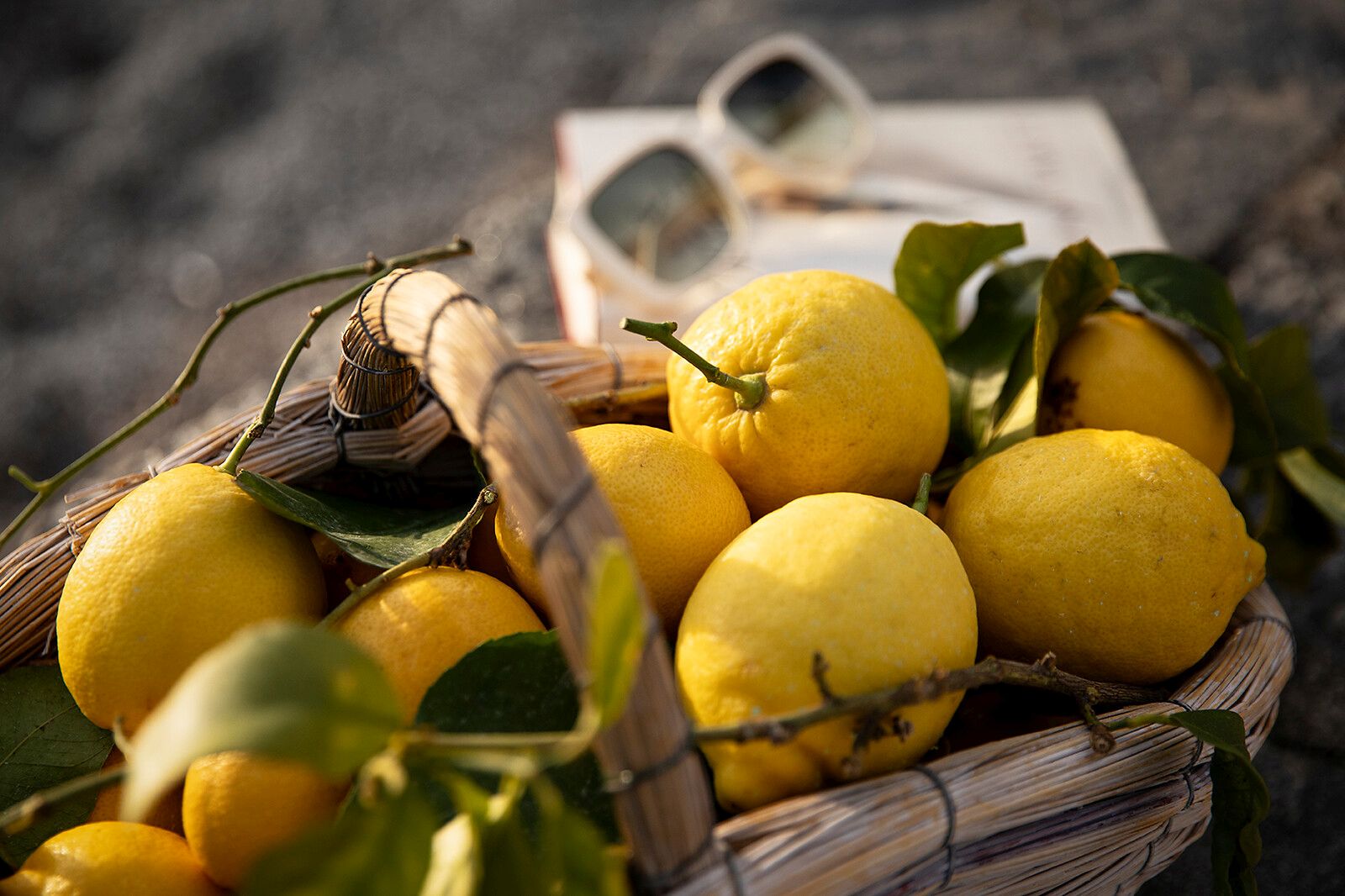 6 Restaurant La Casetta Magnolien5