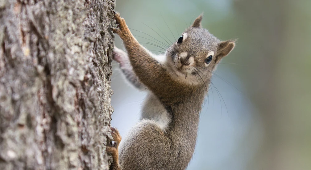 chandler-cruttenden-2AbKyNPVV8Q-unsplash-min