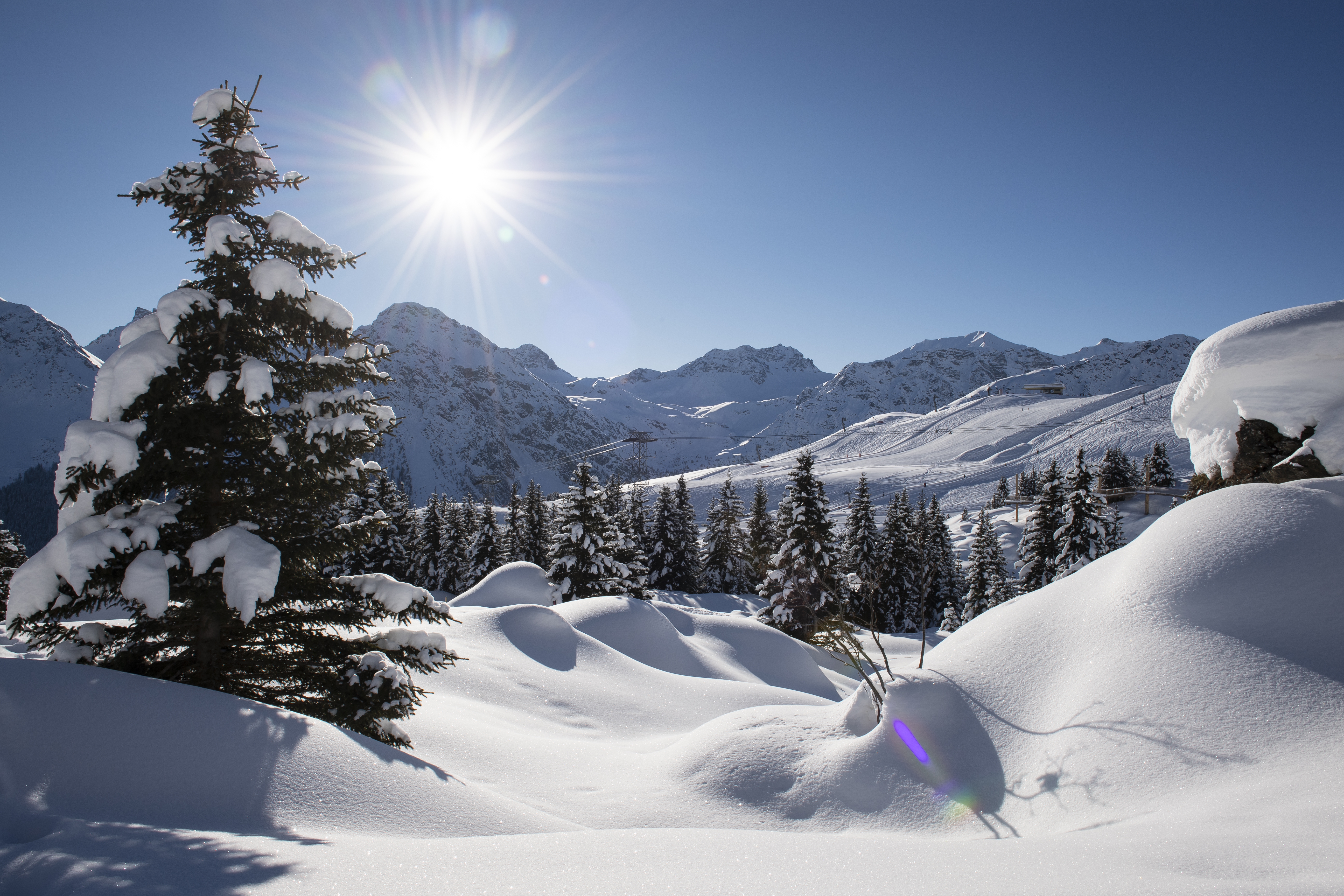 winterlandschaft-arlenwaldweg-februar21-003