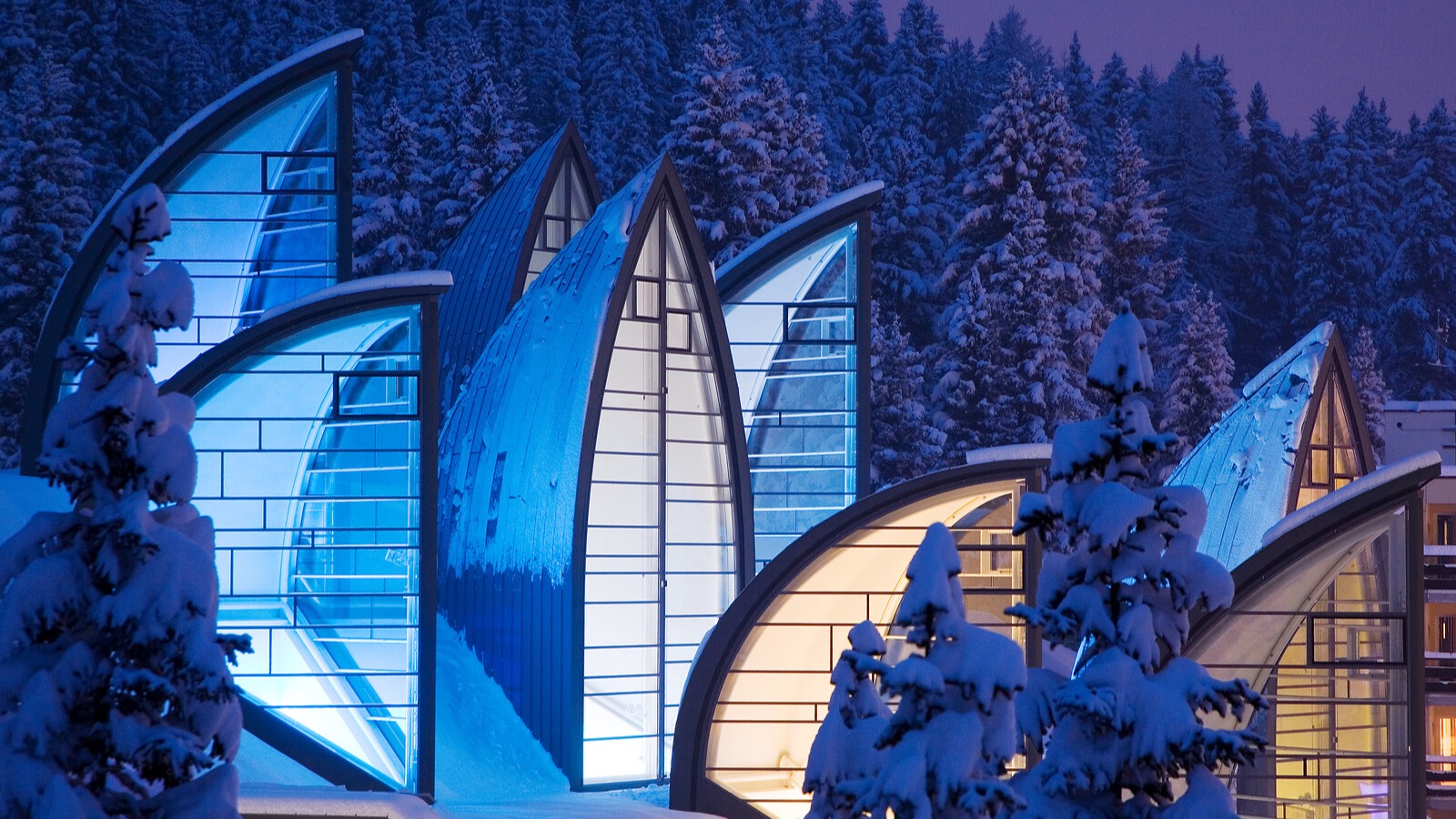 Modern curved-roof buildings with illuminated windows nestled among snow-covered evergreen trees in a winter forest setting.