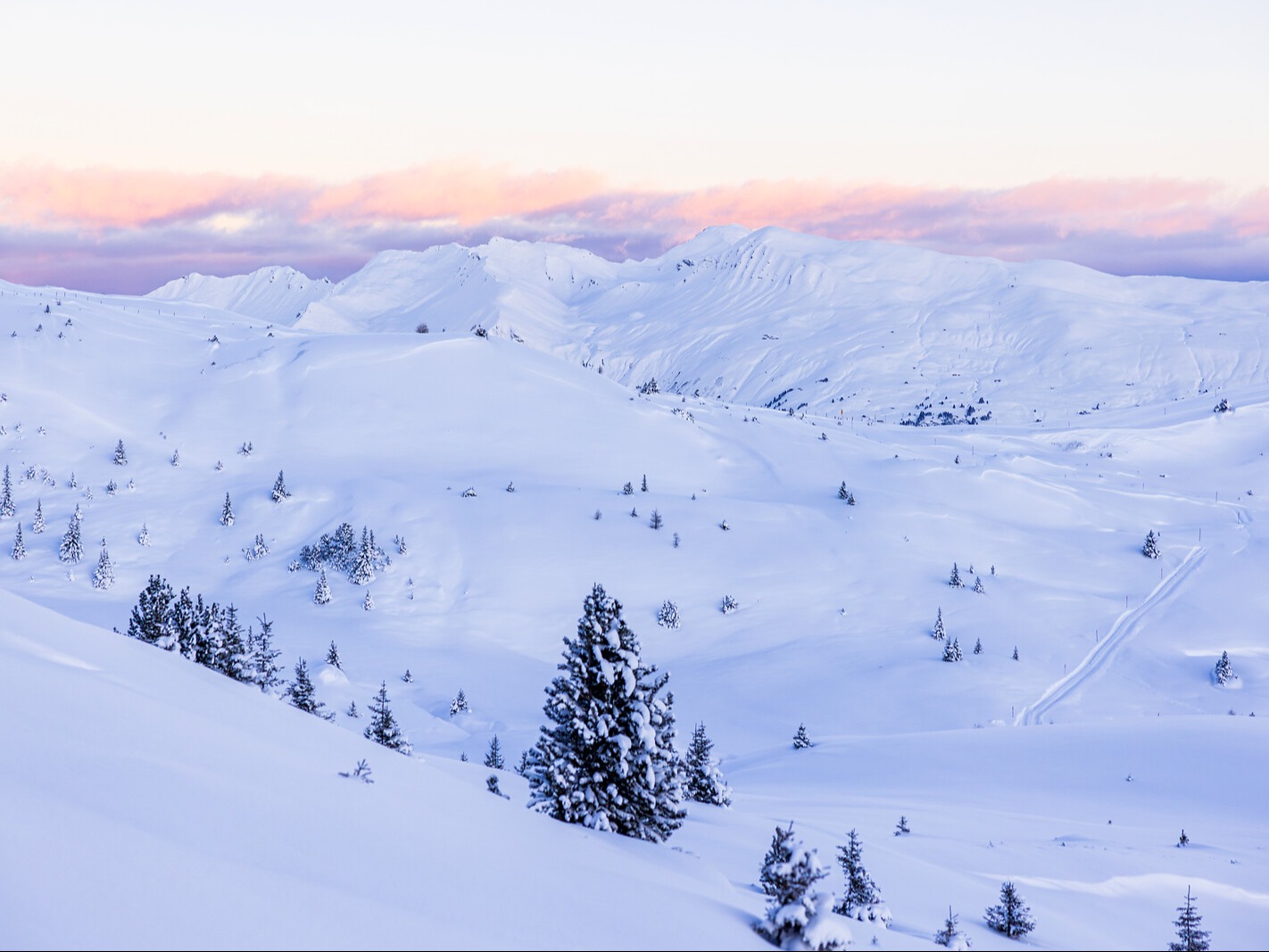 Snow-covered mountain landscape in Arosa in the soft morning light, with pink clouds and snow-covered fir trees.