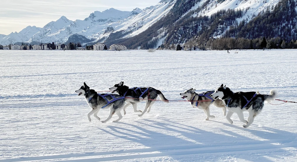 CH Husky-Schlittenfahrt 01