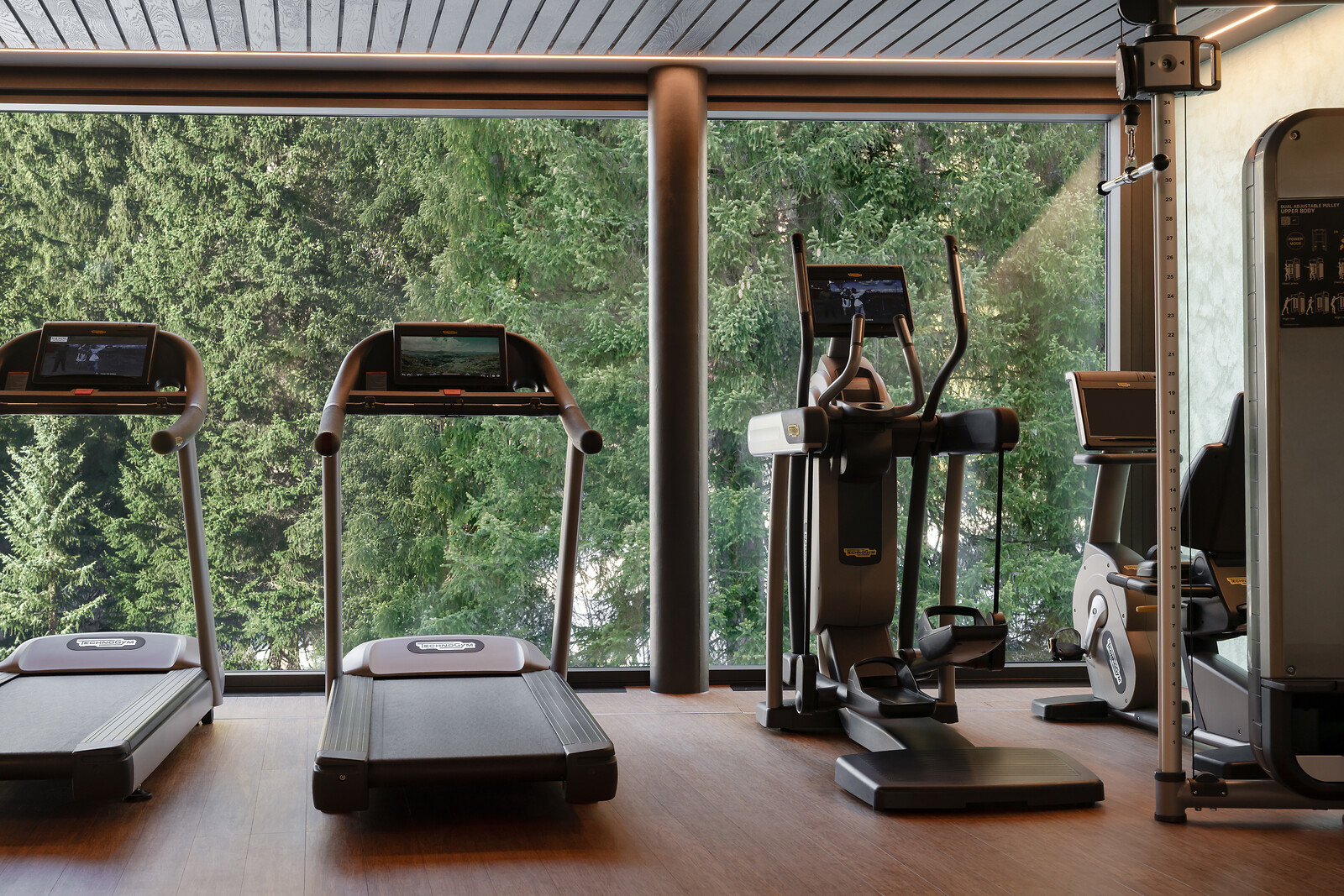 Moderner Fitnessraum mit Laufbändern und Trainingsgeräten vor grossen Fenstern mit Blick ins Grüne.