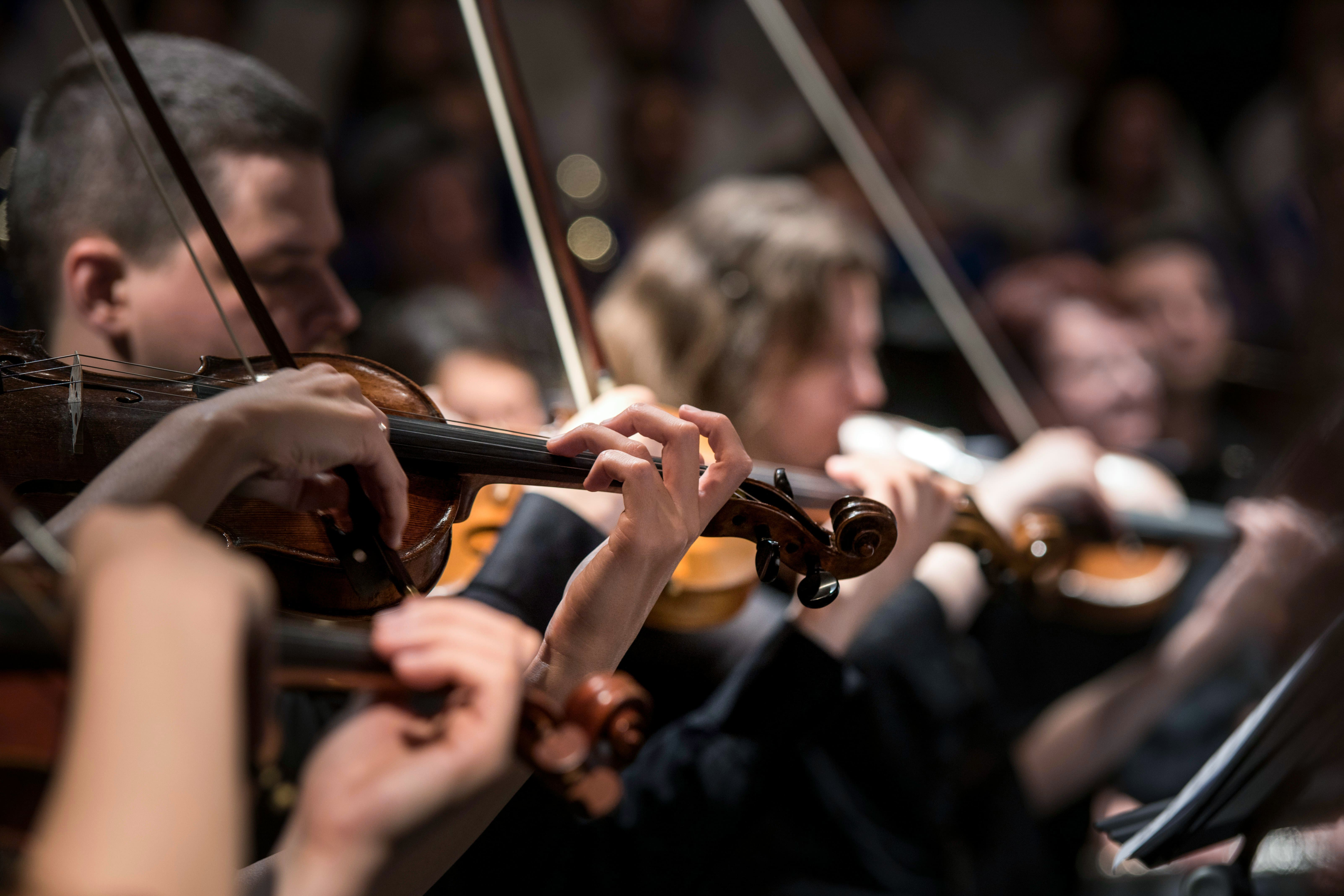 Close-up of orchestra musicians playing violins during a performance, with hands positioned on instruments and bows raised.
