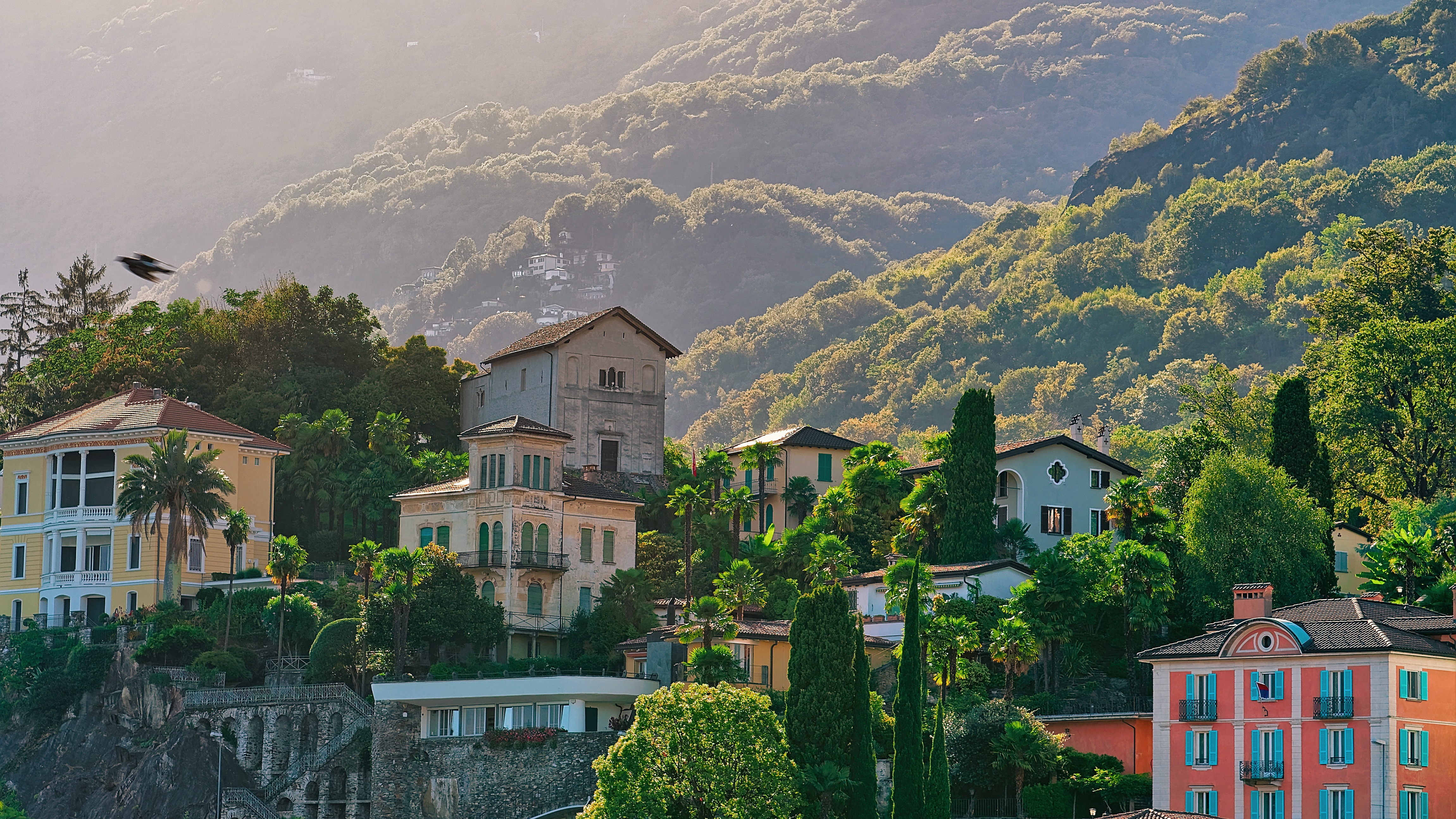 MoMo REST HER SS San Michele REDAKTIONELL