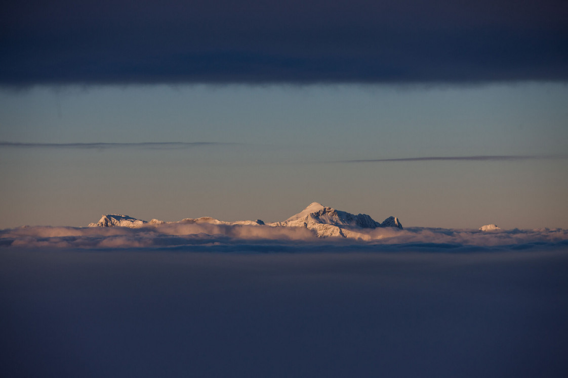 Race for Nature – Ein Rennen zum Schutz unserer Natur