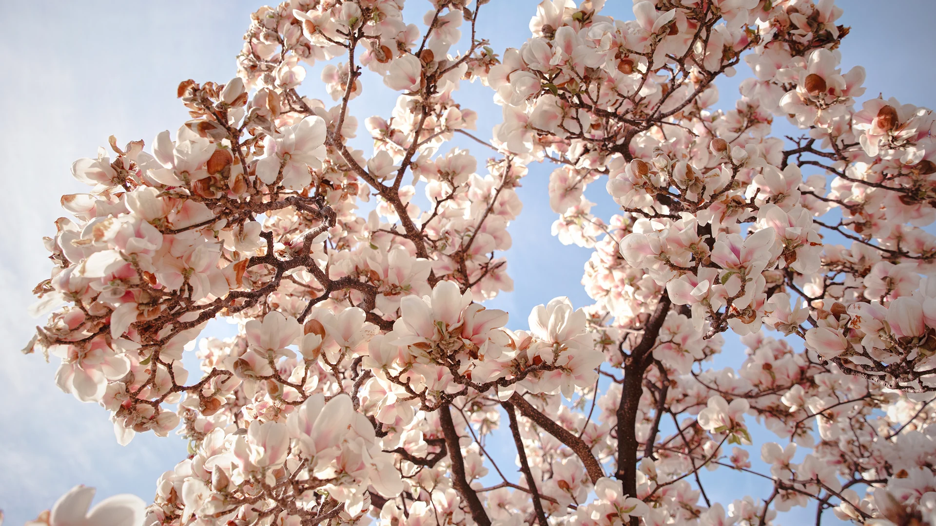 HotelEdenRoc_Garden_07_gallery