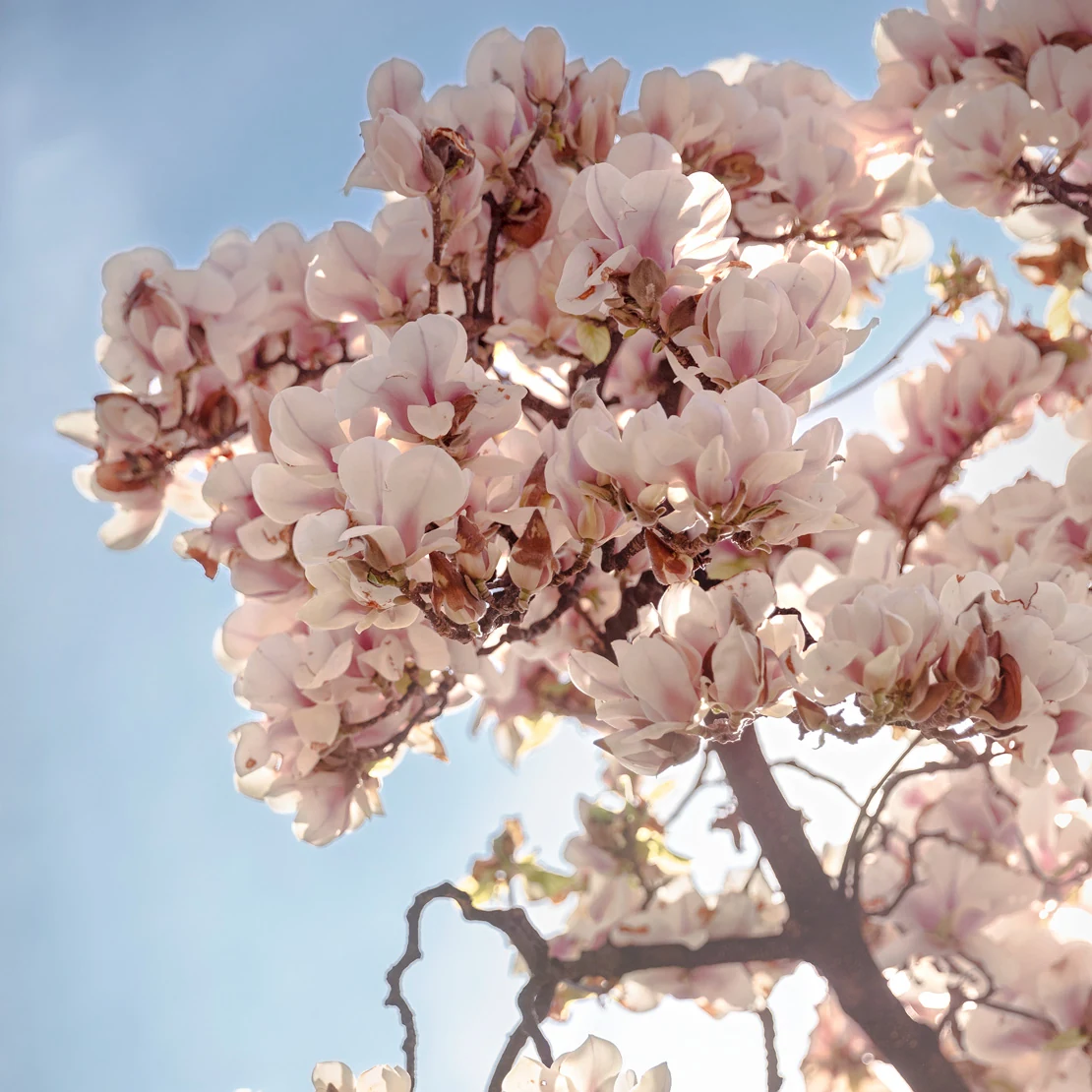 HotelEdenRoc_Garden_07_gallery