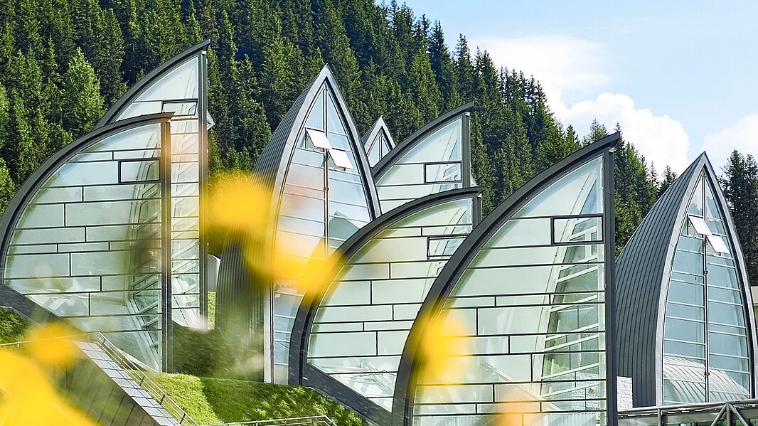 Moderne Glashäuser mit spitzen Dächern vor grünem Wald, gelbe Blumen im Vordergrund, sonniger Tag.