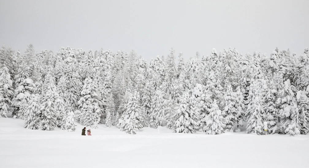 Abenteuer auf dem Schnee - Moving Mountains PLAY - Carlton Hotel