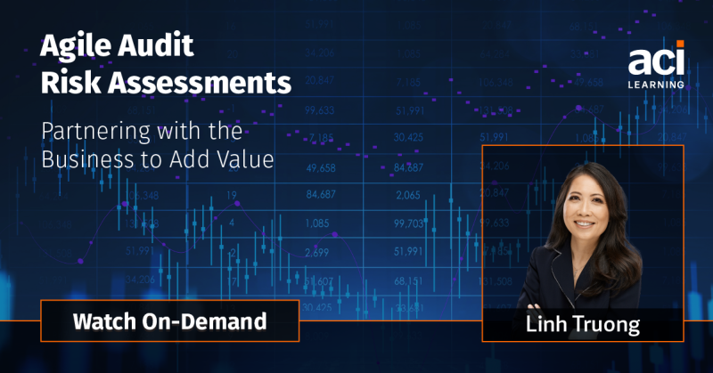 Agile Audit Risk Assessments
