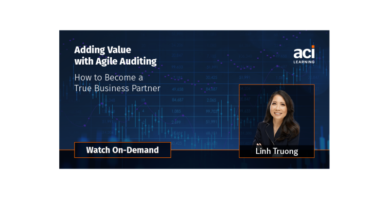 Adding Value With Agile Auditing